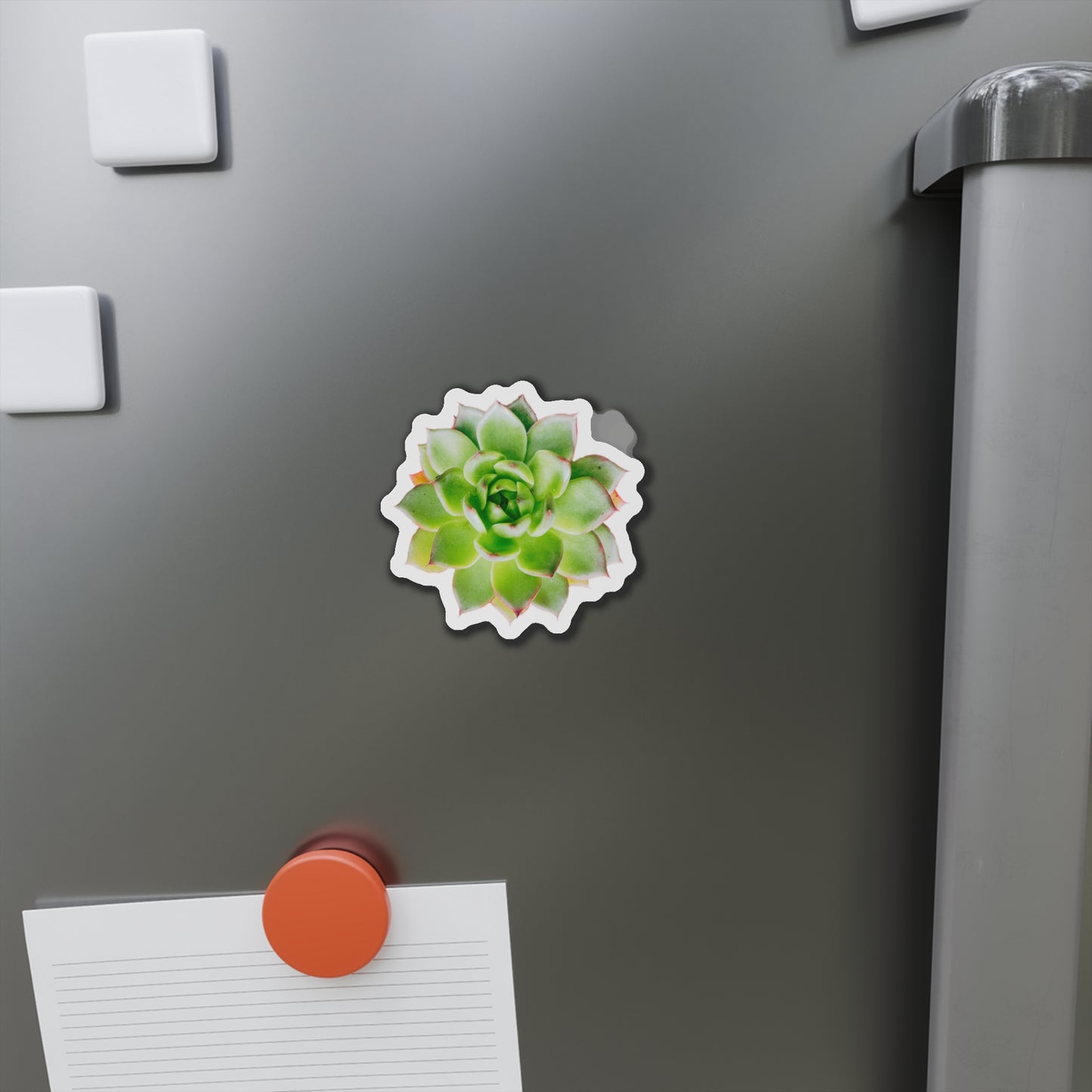 Echeveria Magnets