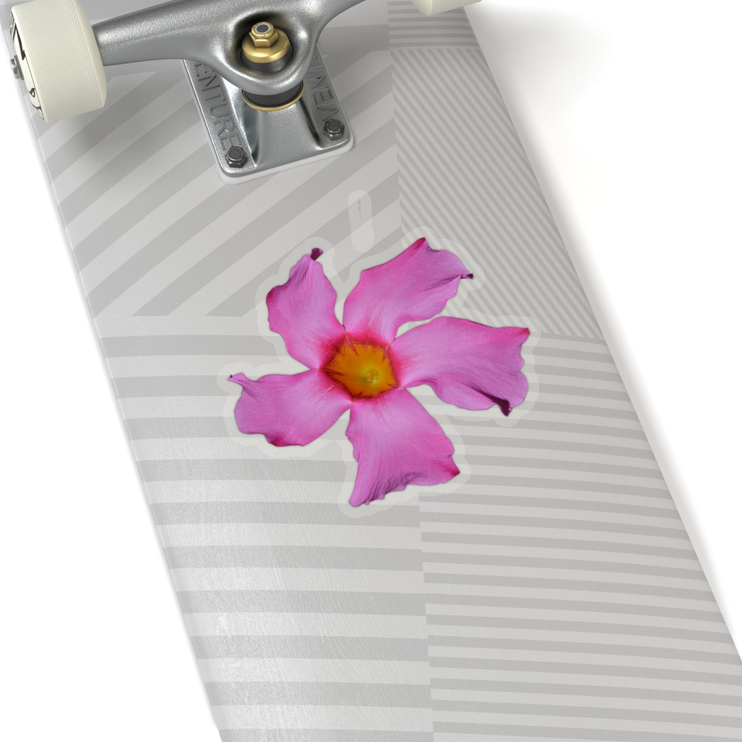 Mandevilla Stickers
