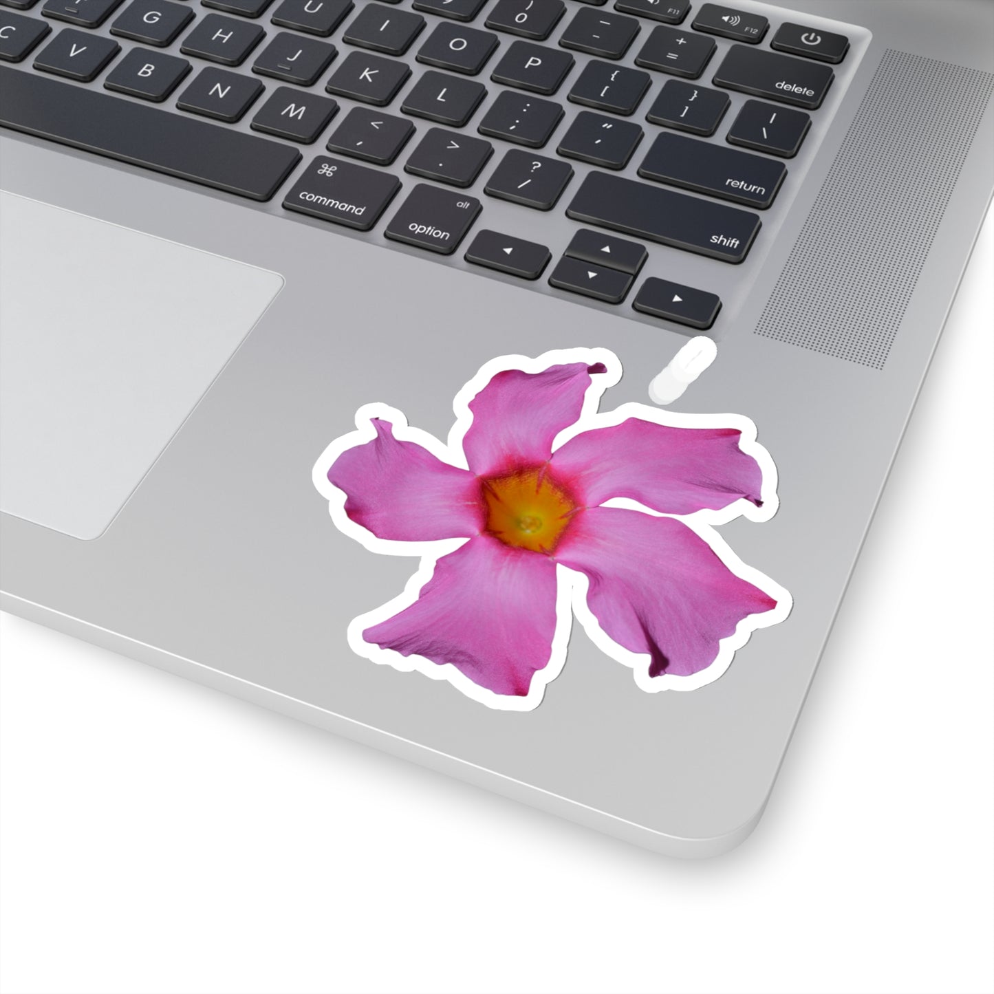 Mandevilla Stickers