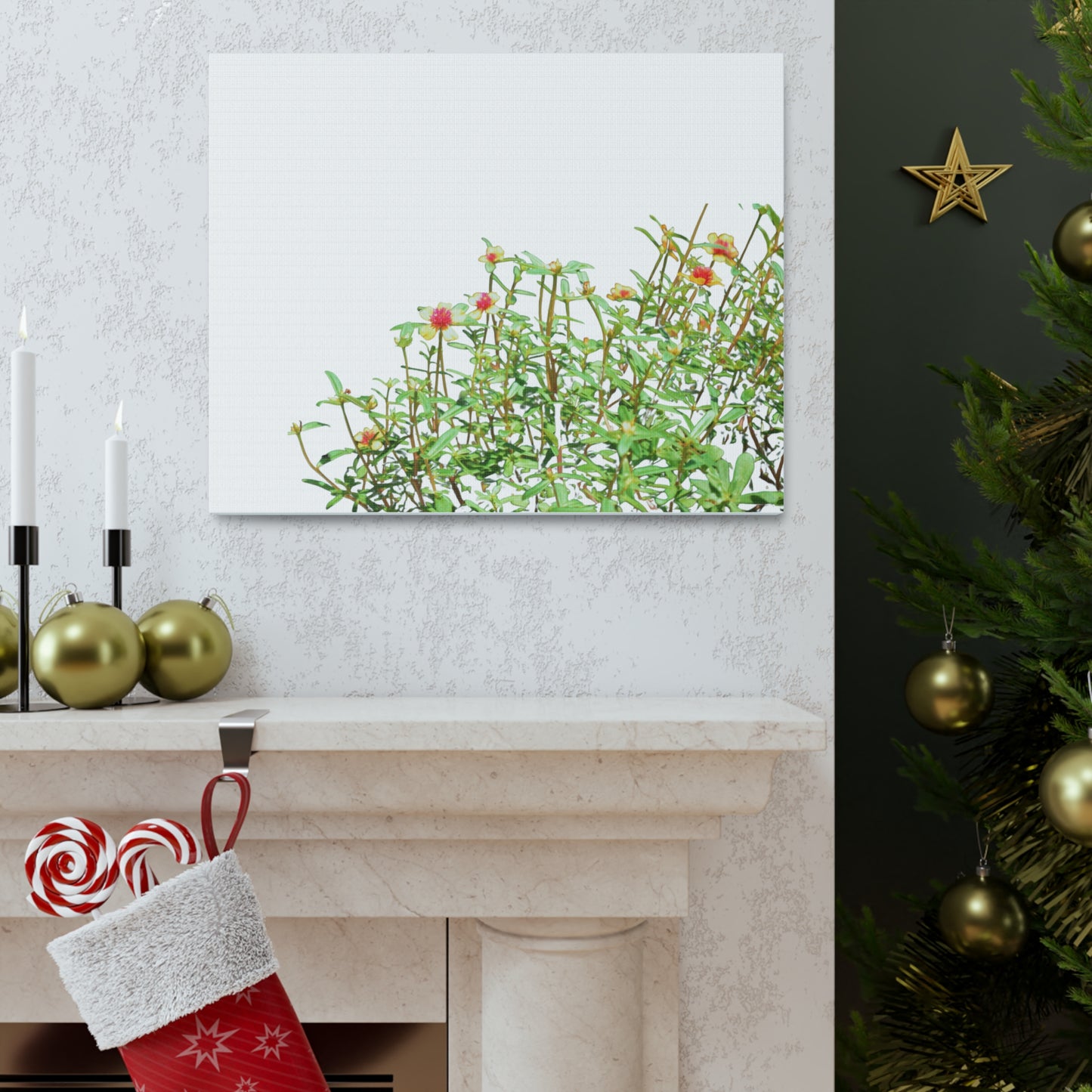 Purslane Canvas Gallery Wraps