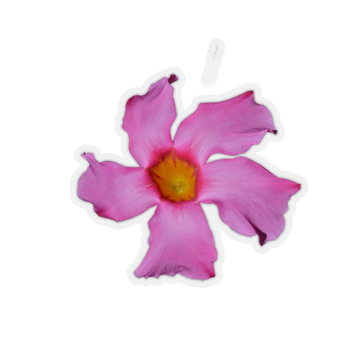 Mandevilla Stickers