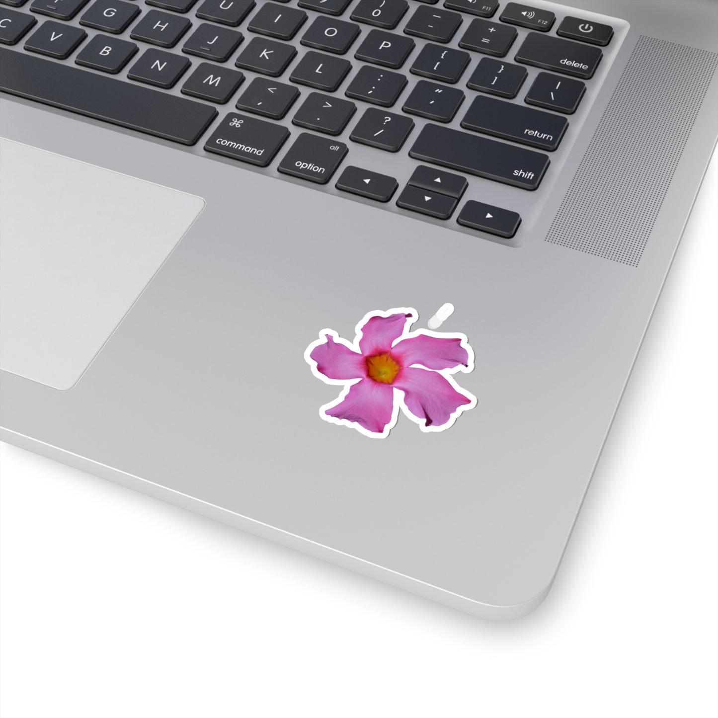 Mandevilla Stickers