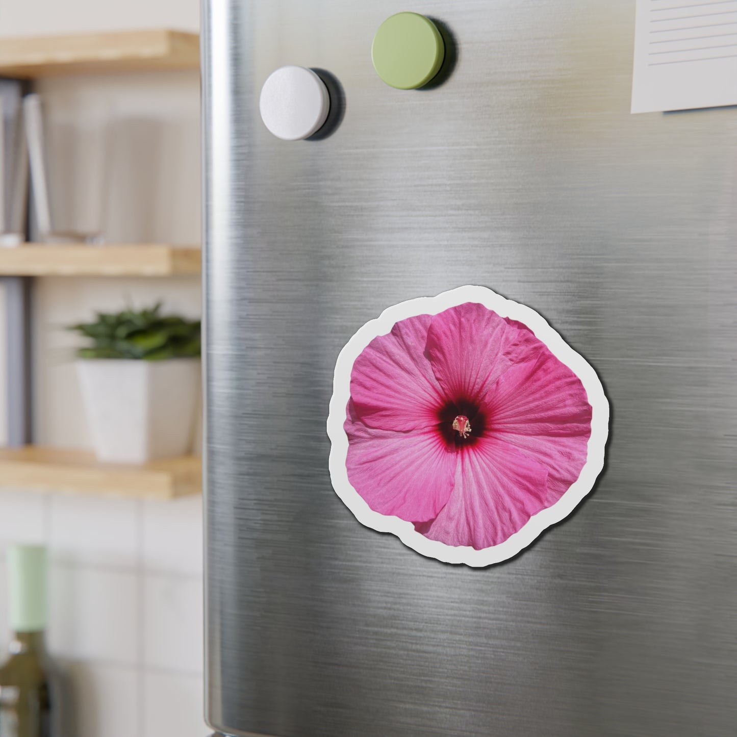 Hibiscus Magnets