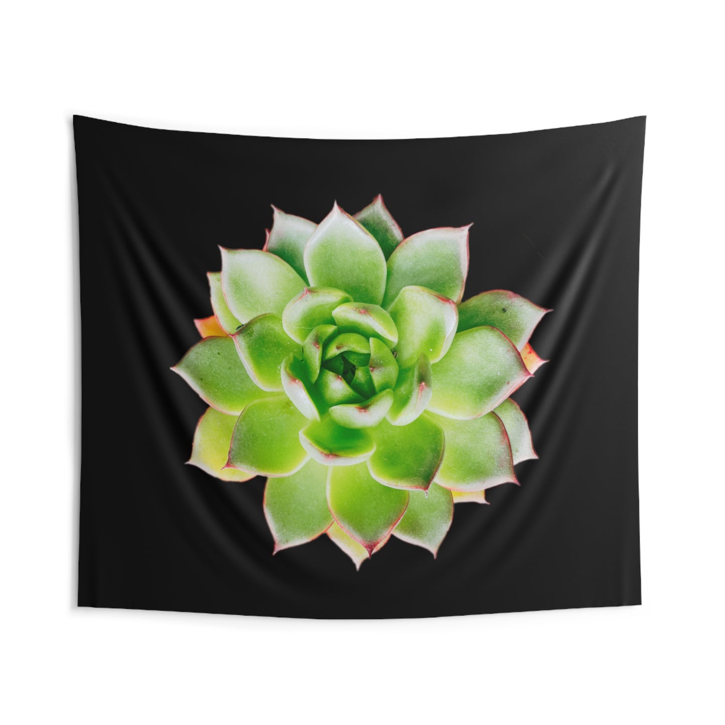 Echeveria Indoor Wall Tapestries