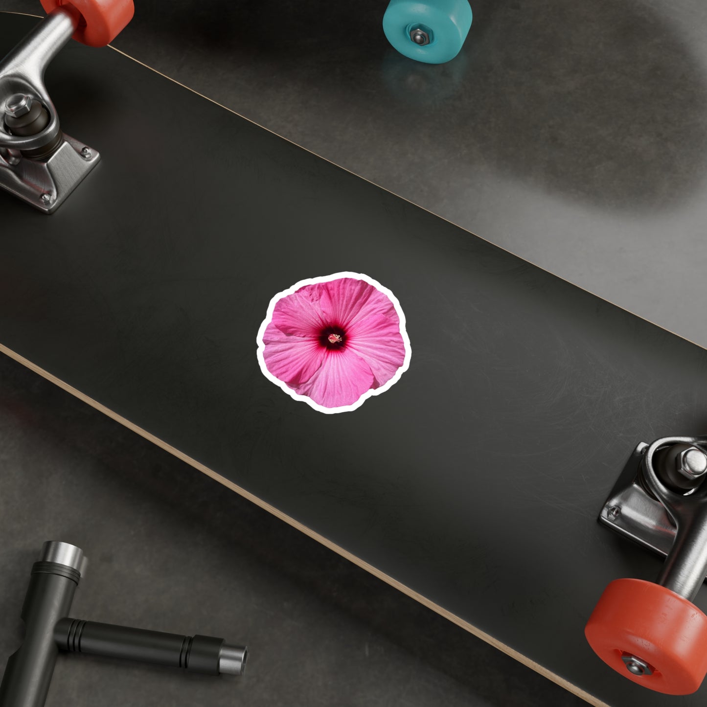 Hibisucs Vinyl Decals