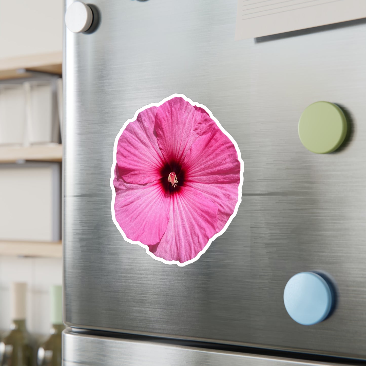 Hibisucs Vinyl Decals