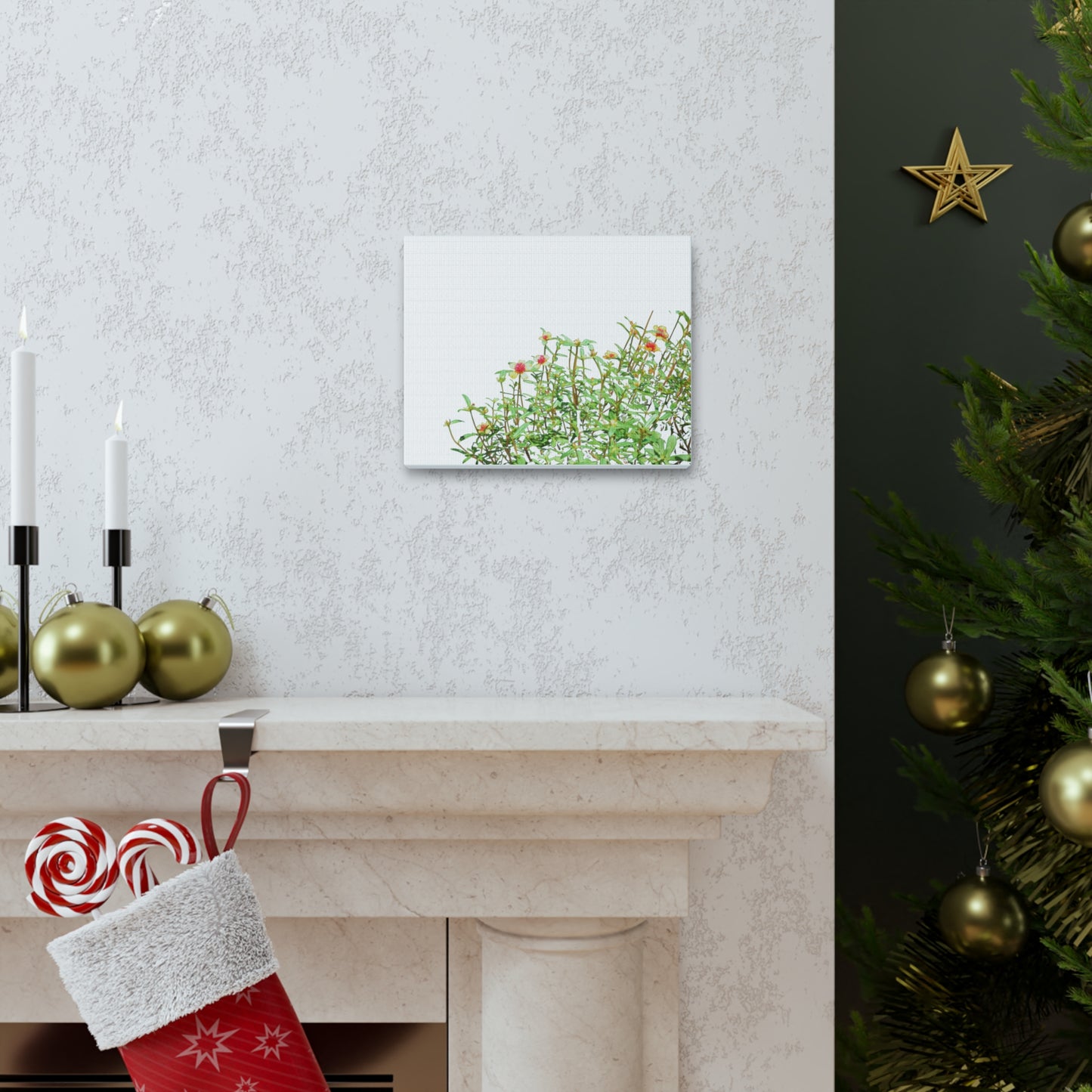 Purslane Canvas Gallery Wraps