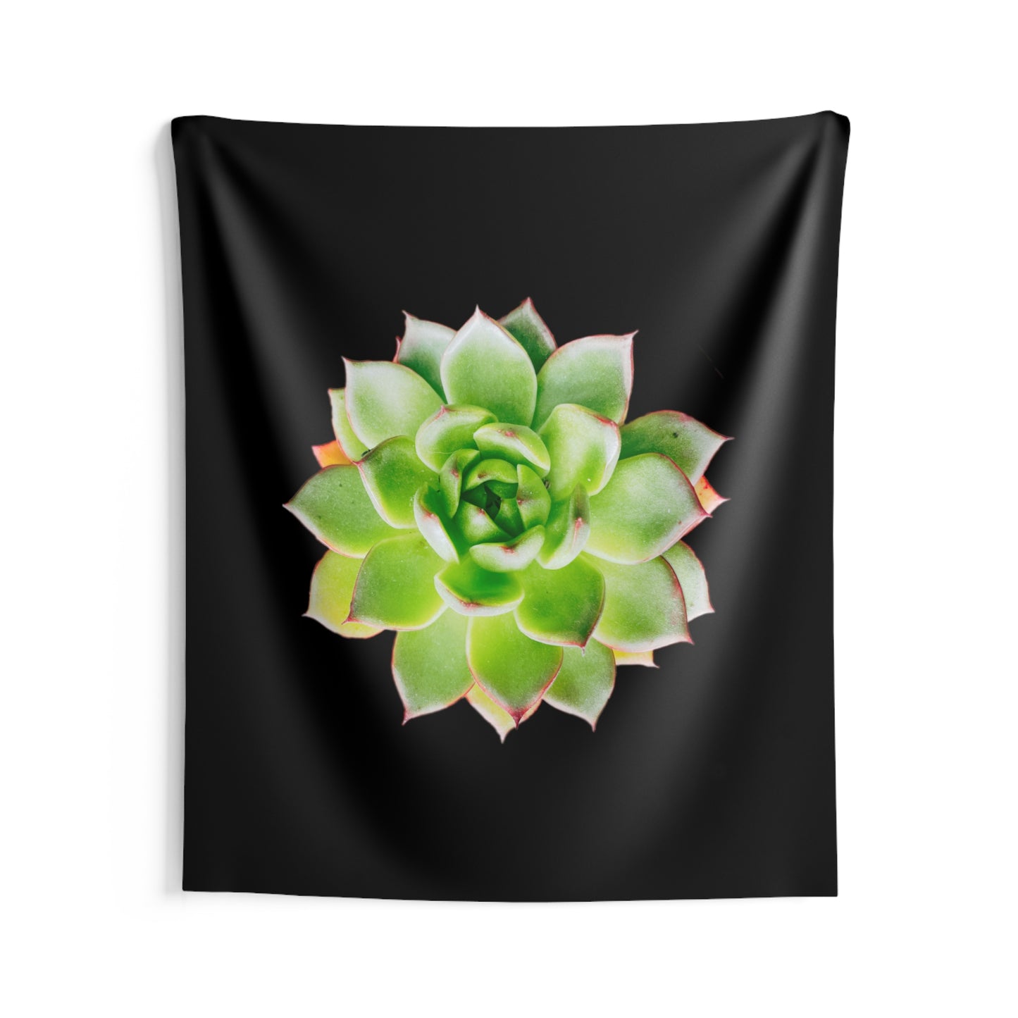 Echeveria Indoor Wall Tapestries