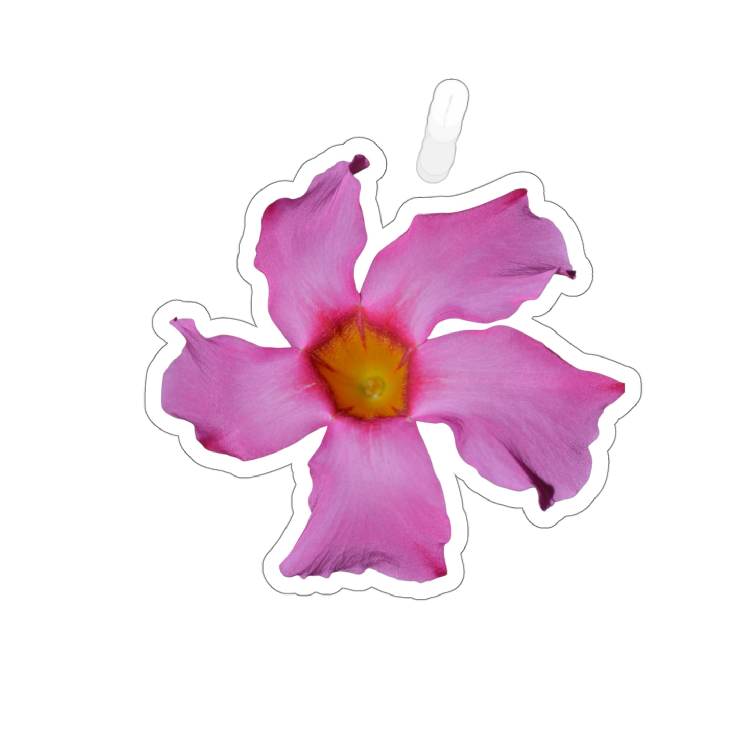 Mandevilla Stickers