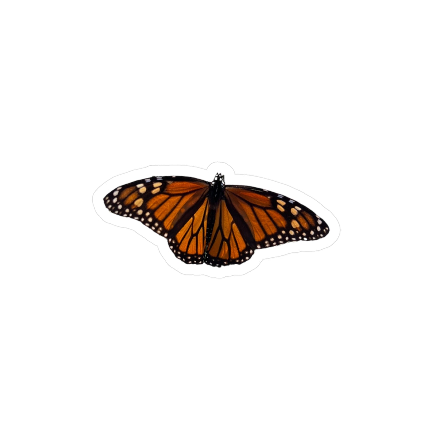 Monarch Vinyl Decals