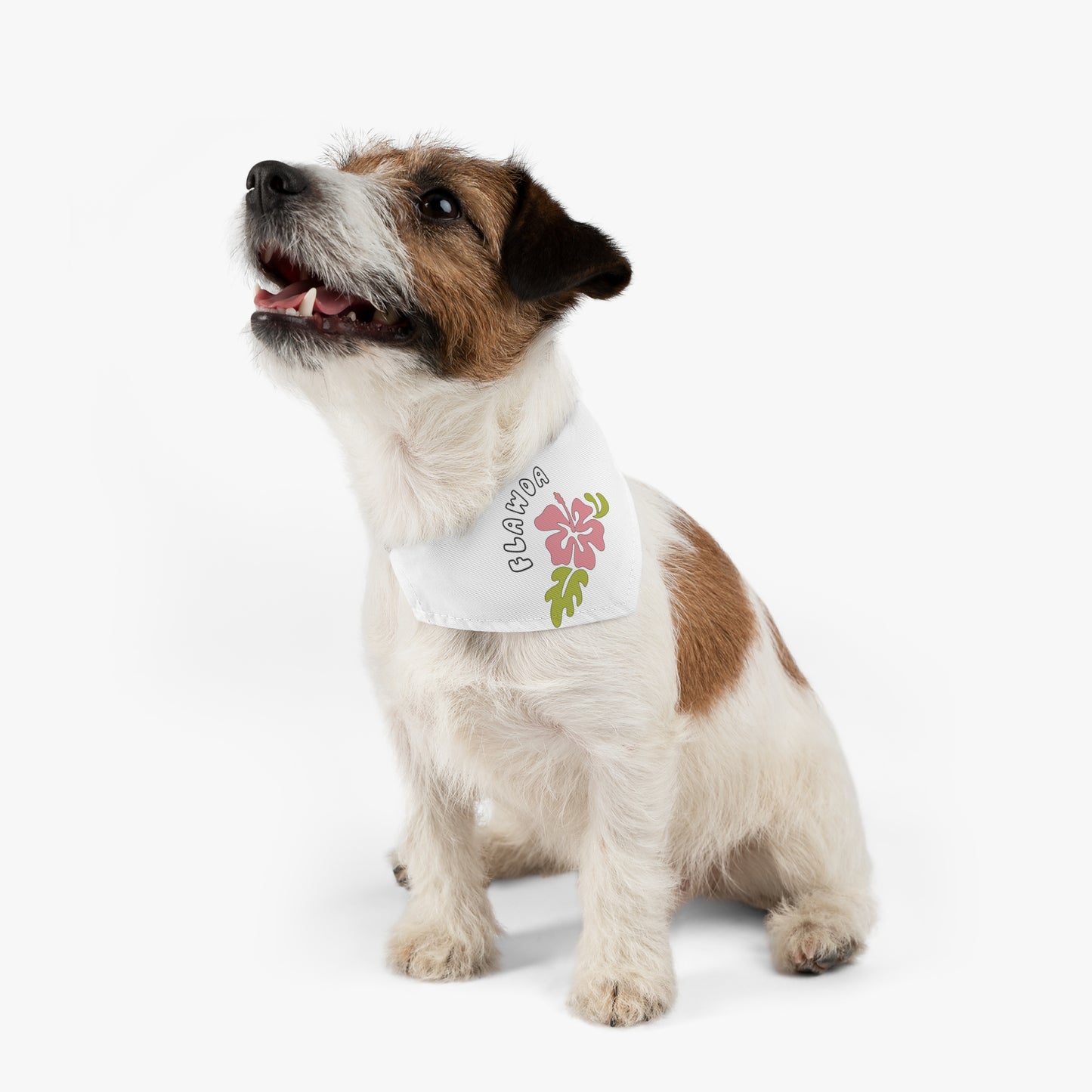 Flawda Pet Bandana Collar