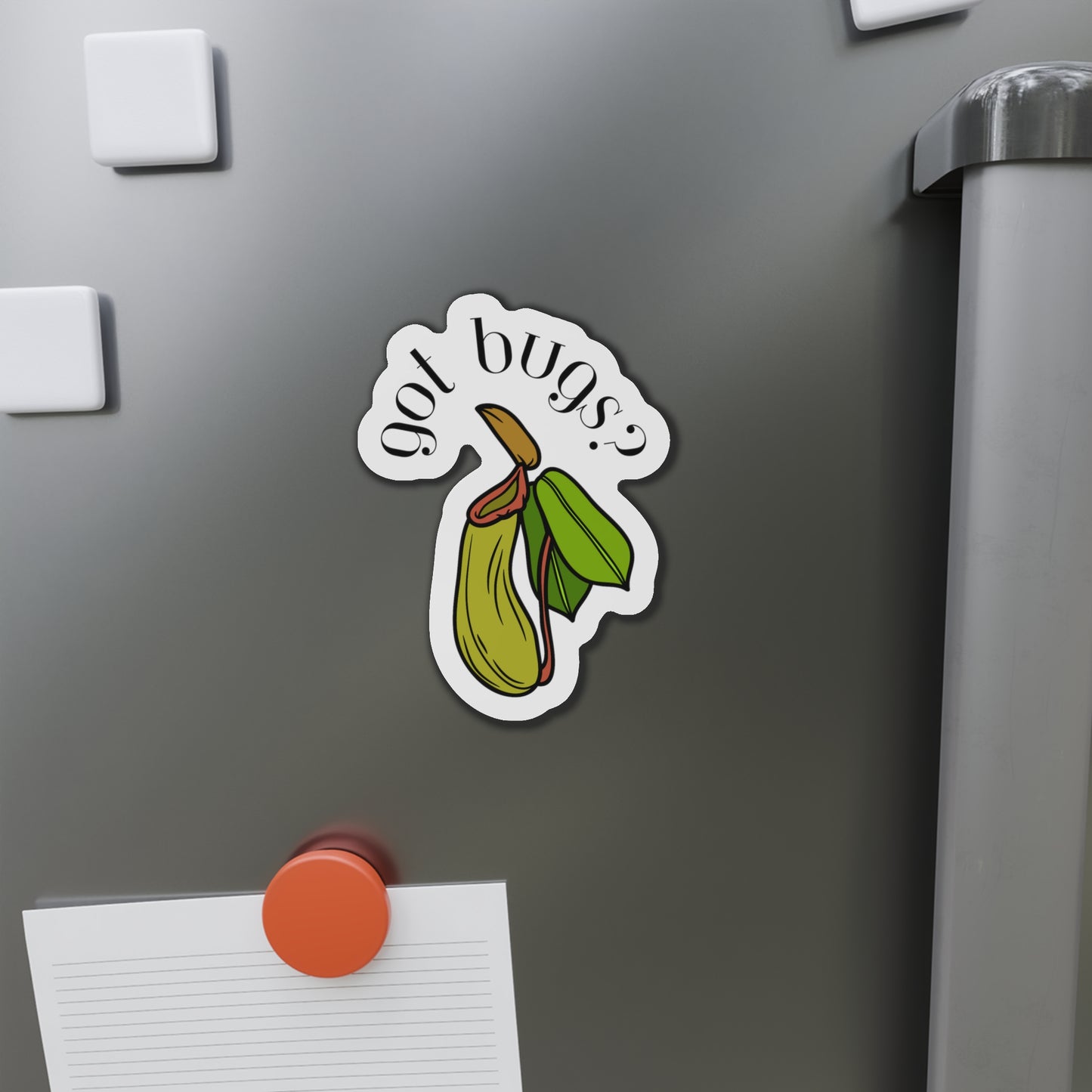 Got Bugs? Magnets