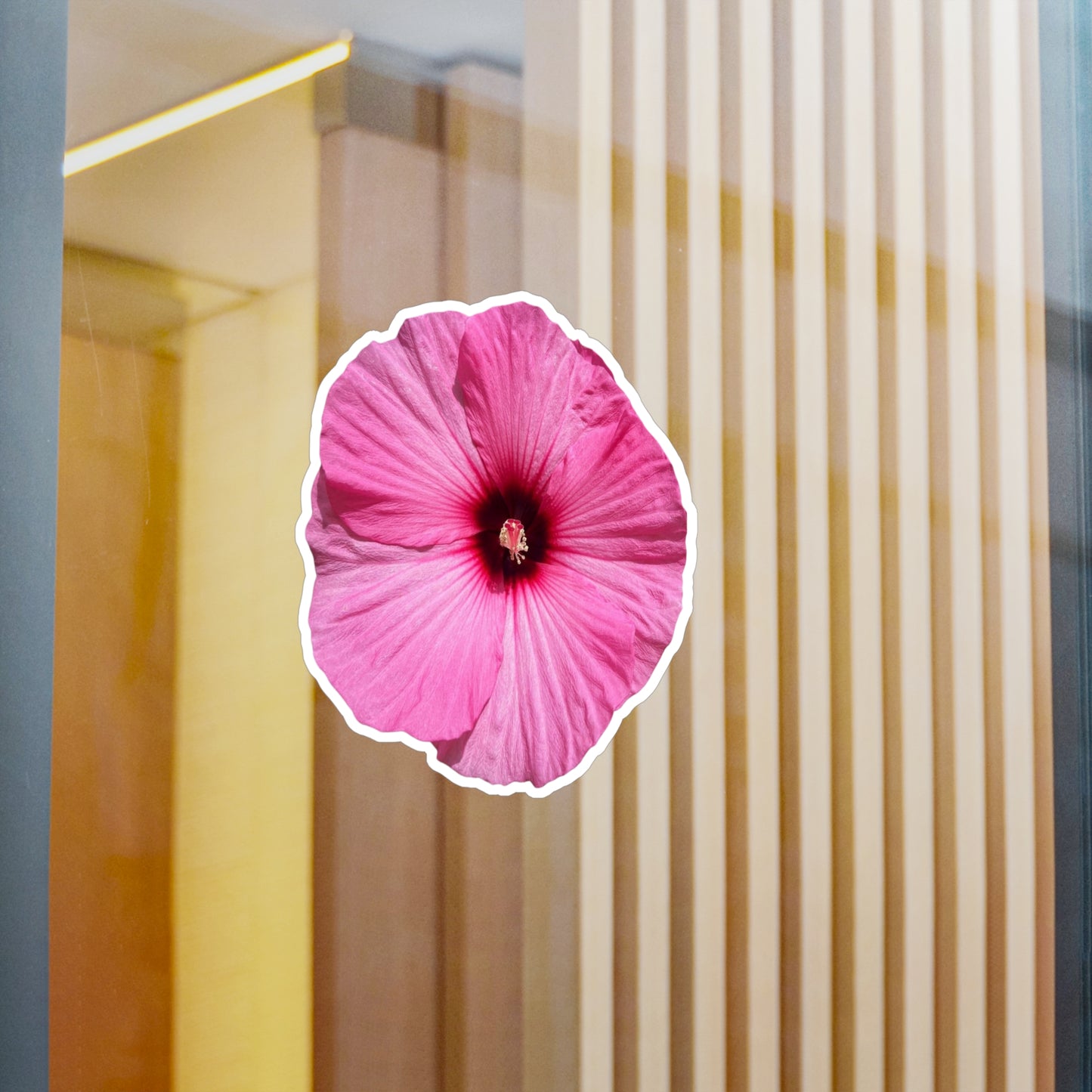 Hibisucs Vinyl Decals