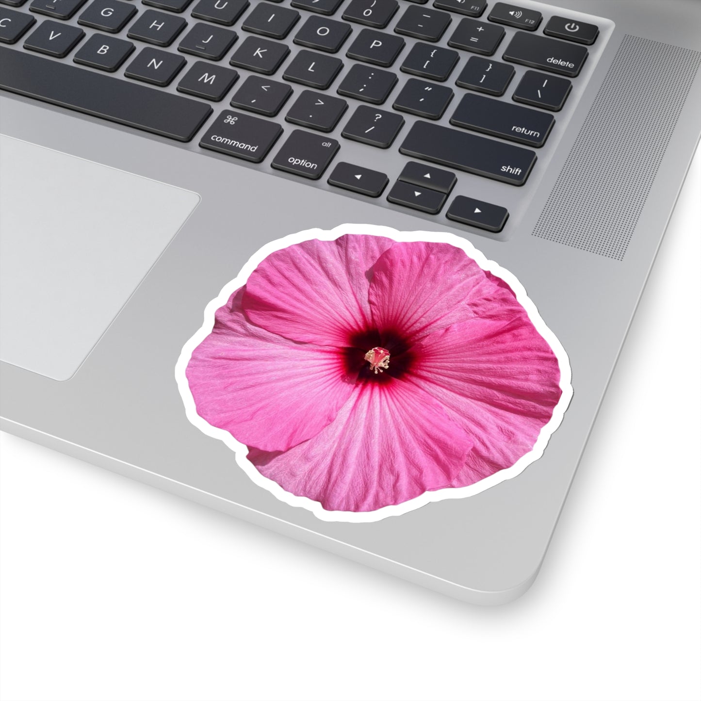 Hibiscus Stickers