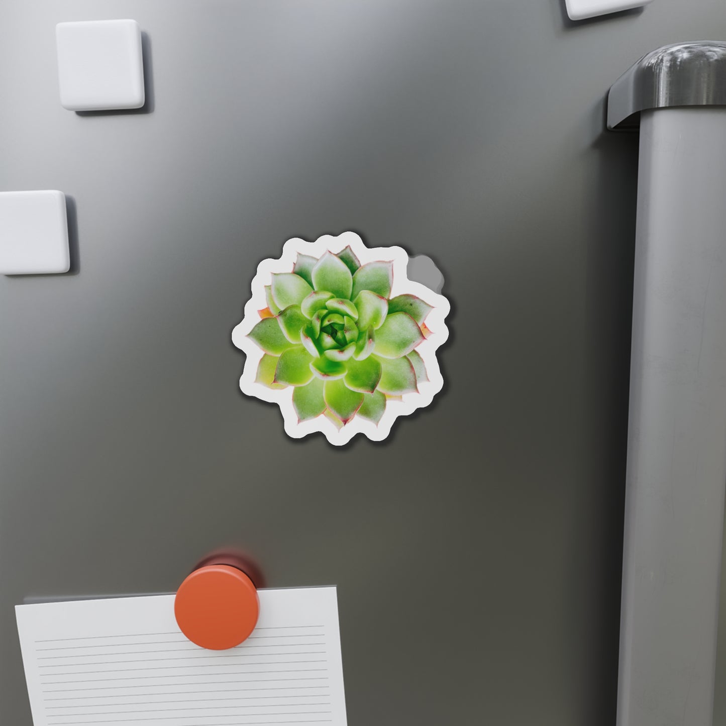 Echeveria Magnets