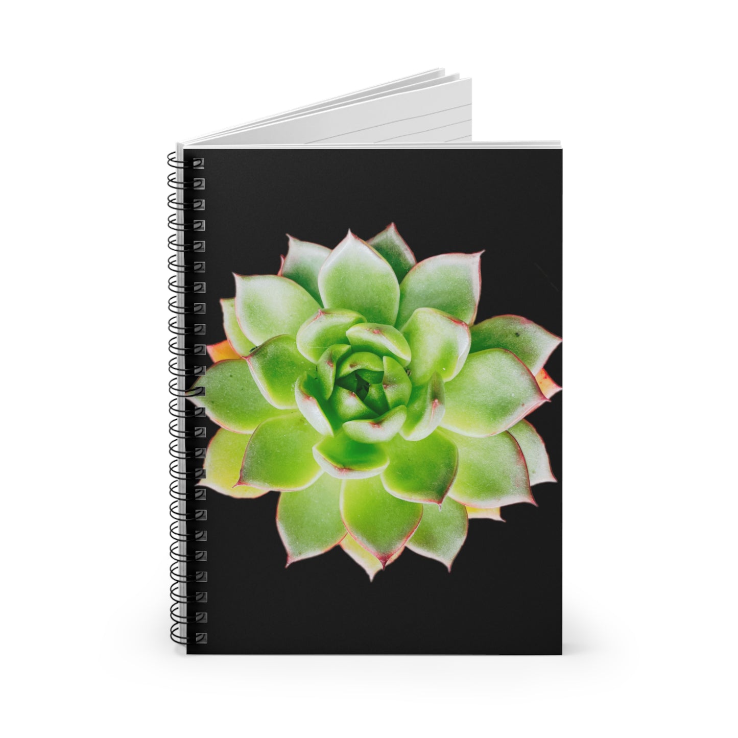 Echeveria Spiral Notebook