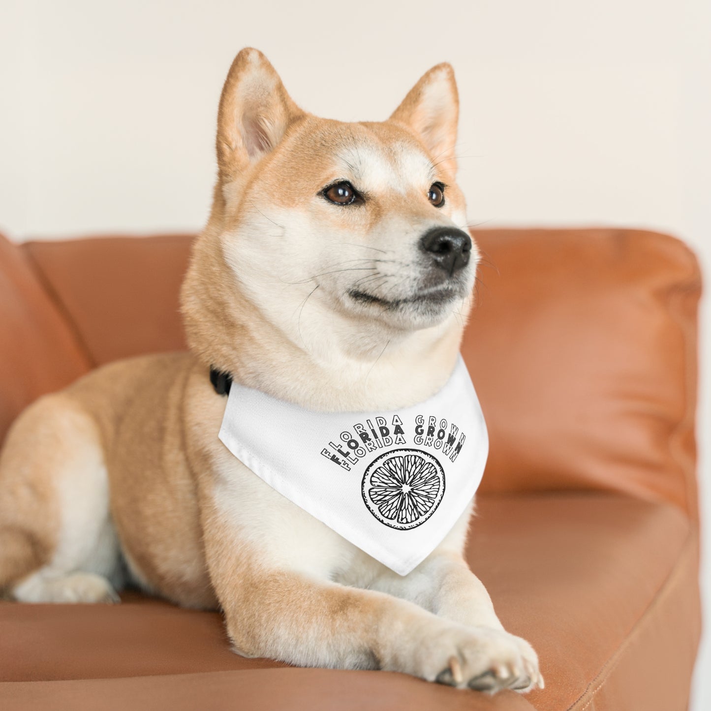 Florida Grown Pet Bandana Collar