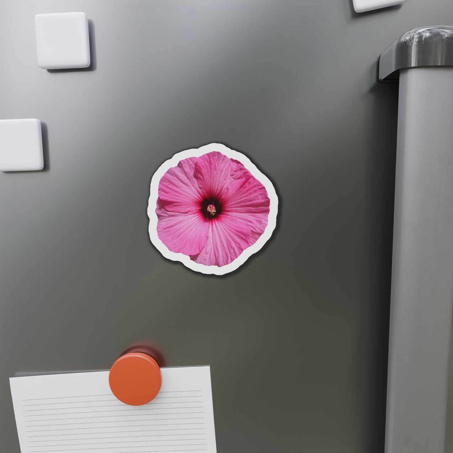 Hibiscus Magnets