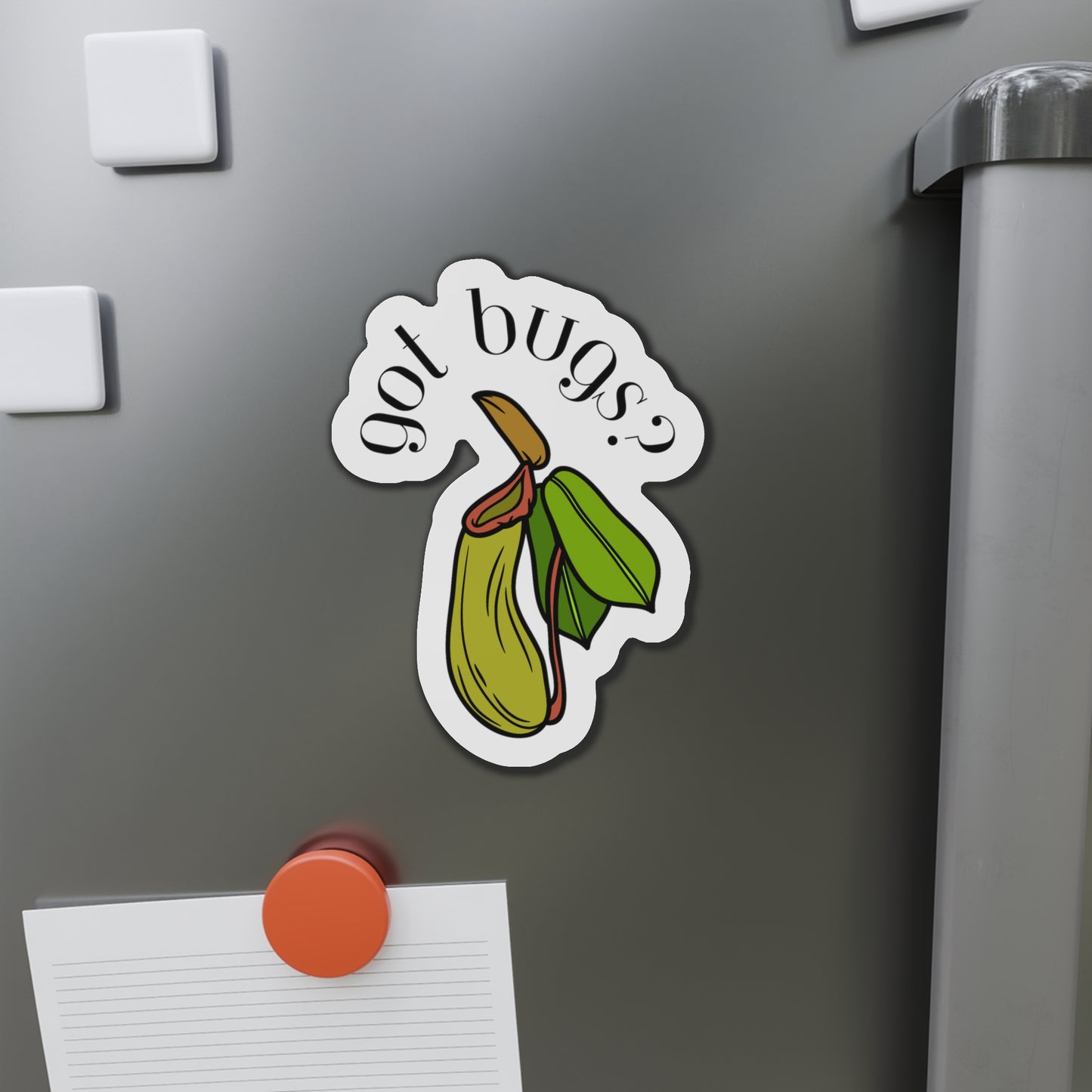 Got Bugs? Magnets