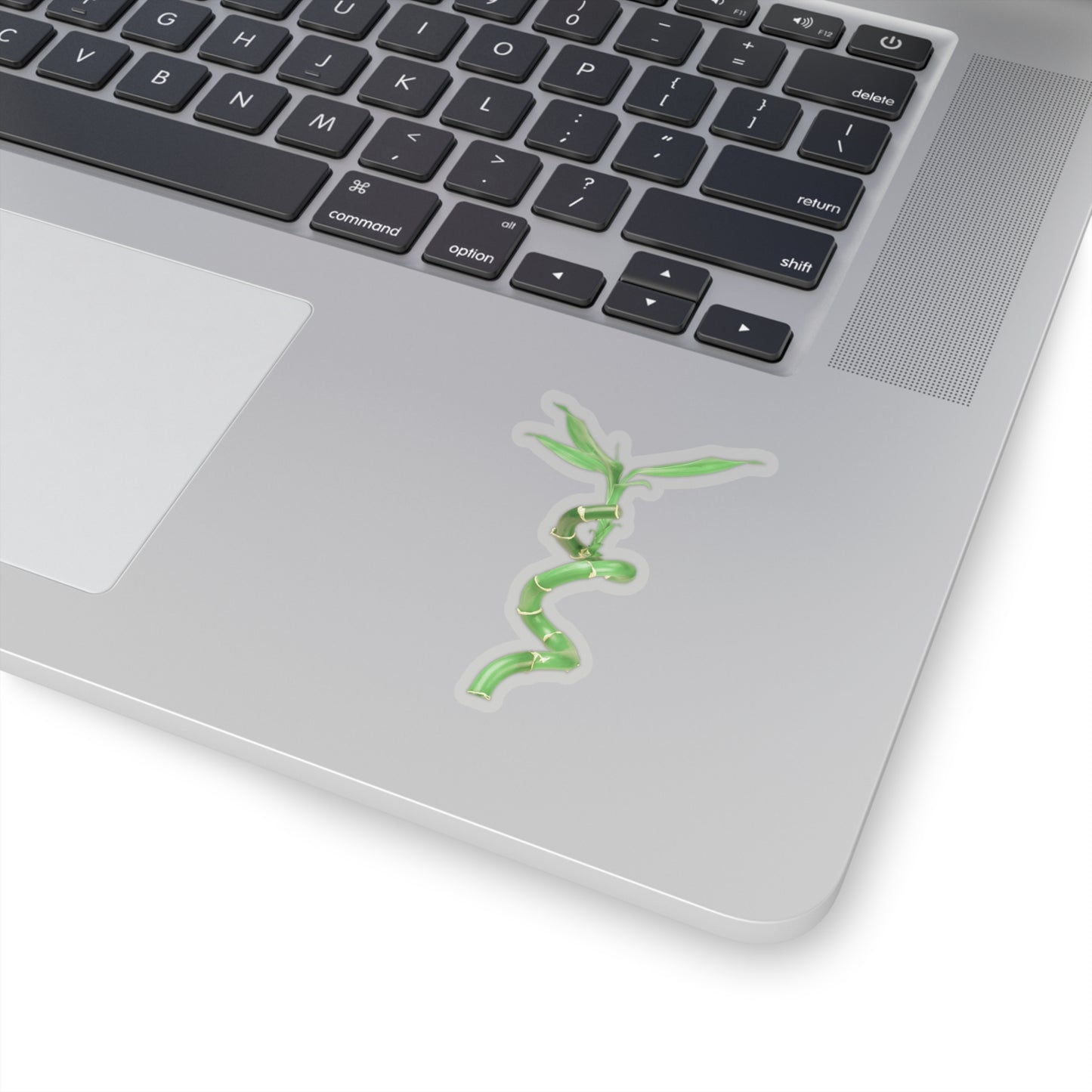 Bamboo Stickers