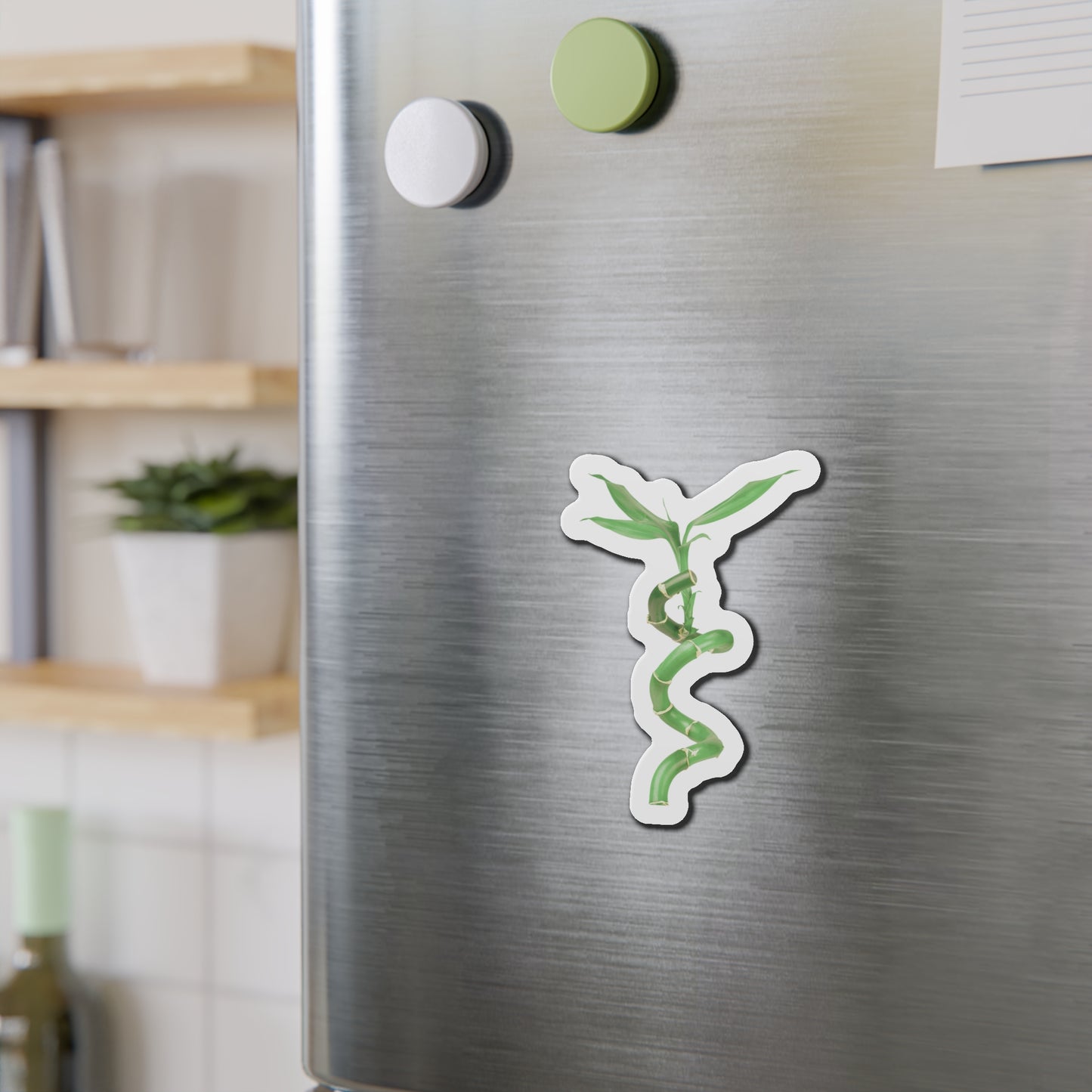 Bamboo Magnets