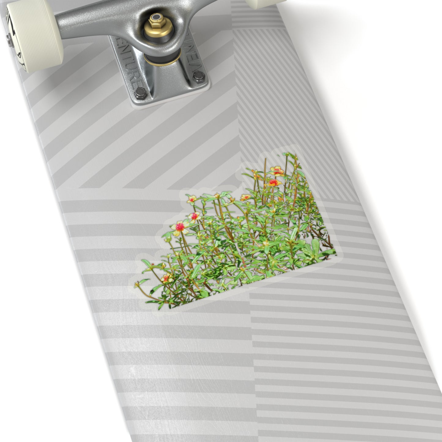 Purslane Stickers