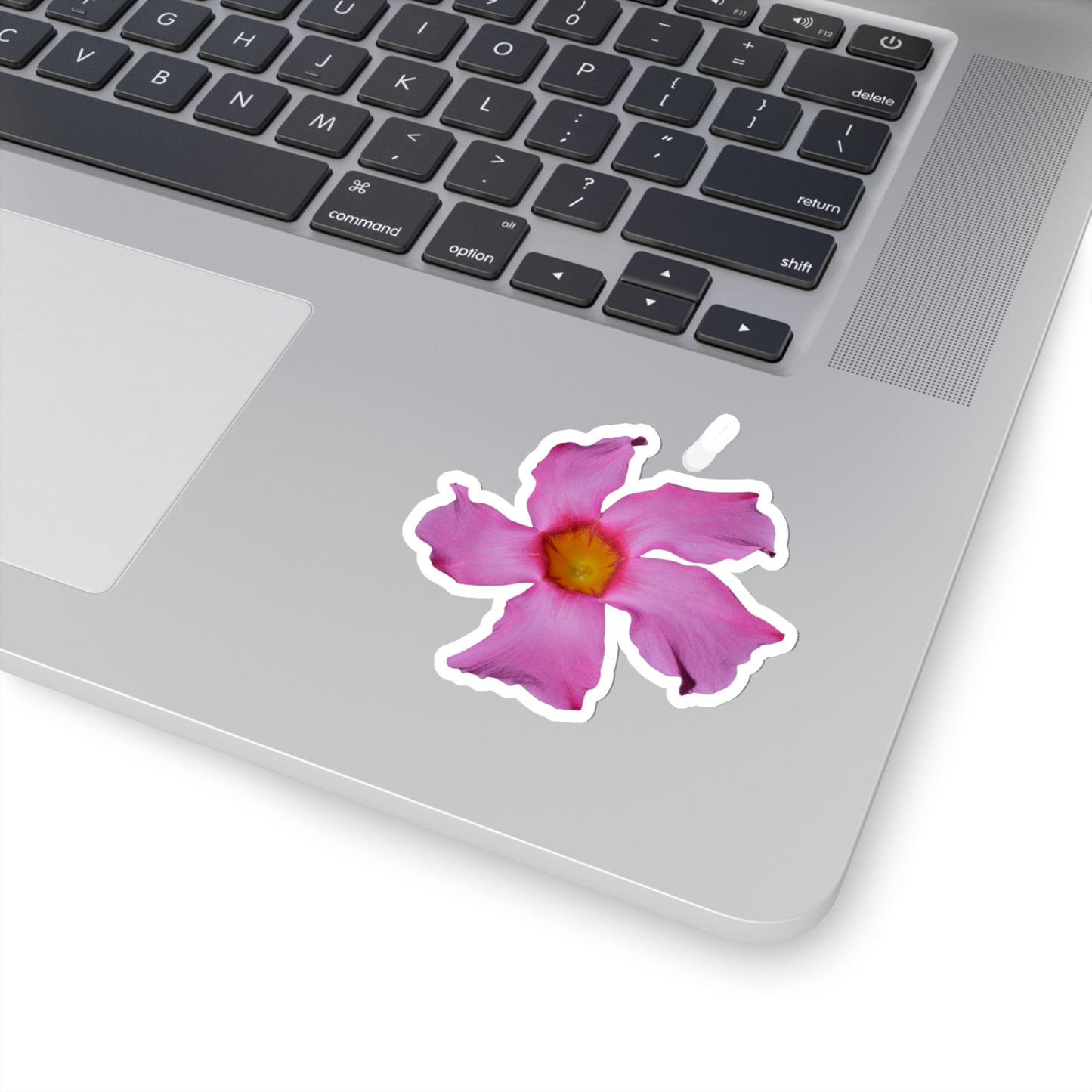 Mandevilla Stickers