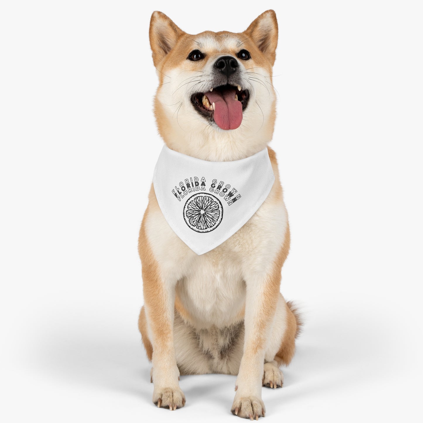 Florida Grown Pet Bandana Collar