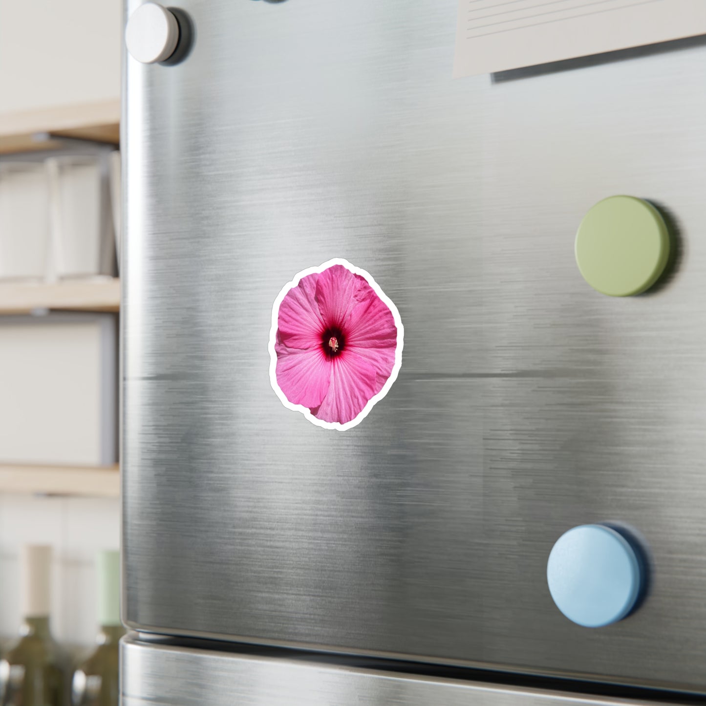 Hibisucs Vinyl Decals