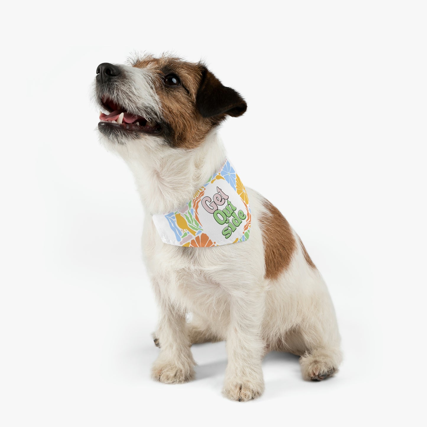Get Outside Pet Bandana Collar