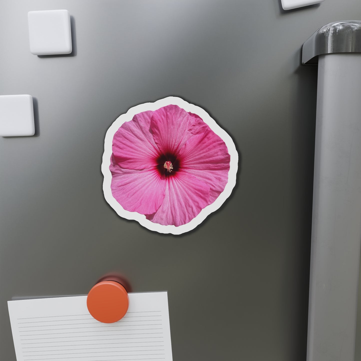 Hibiscus Magnets