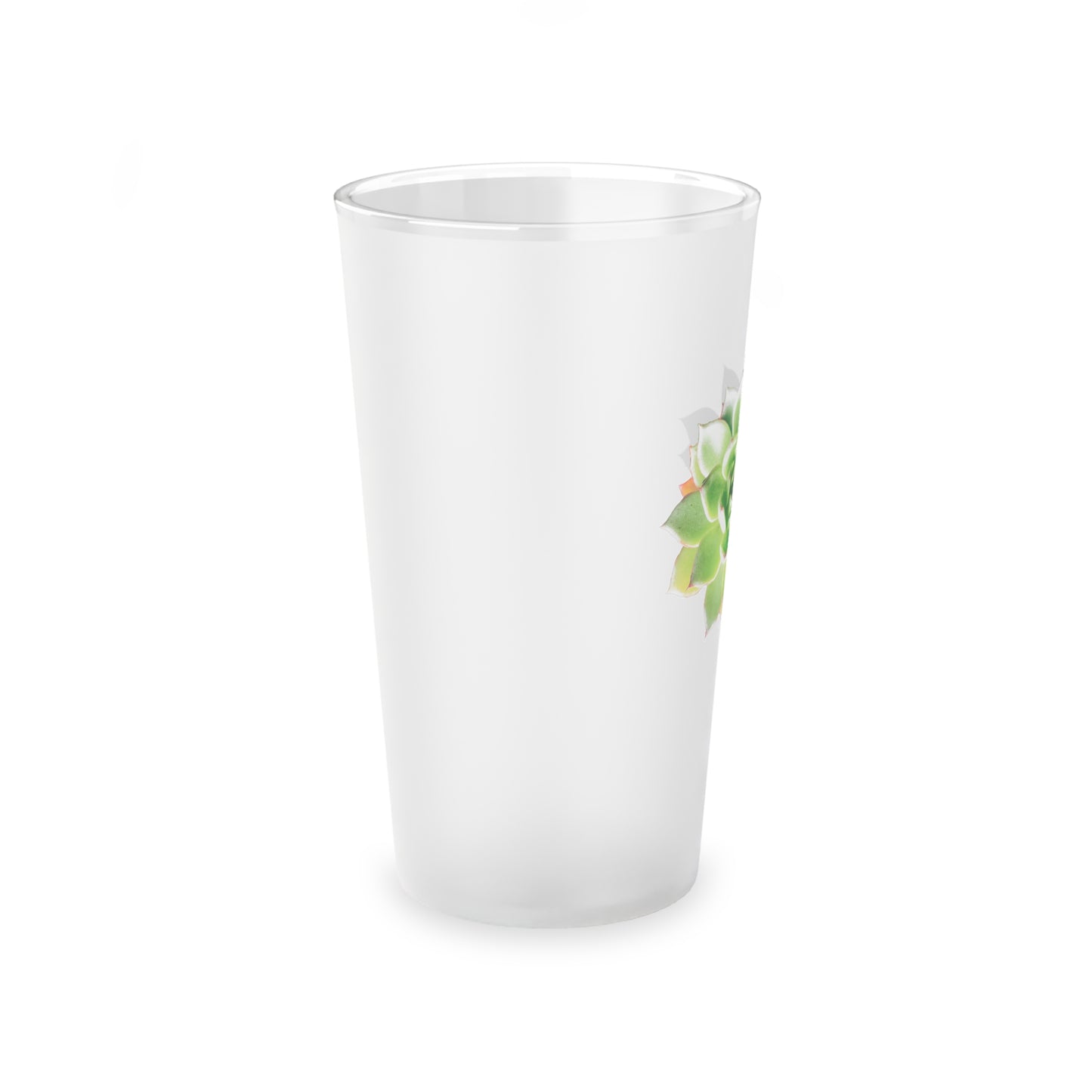 Echeveria Frosted Pint Glass