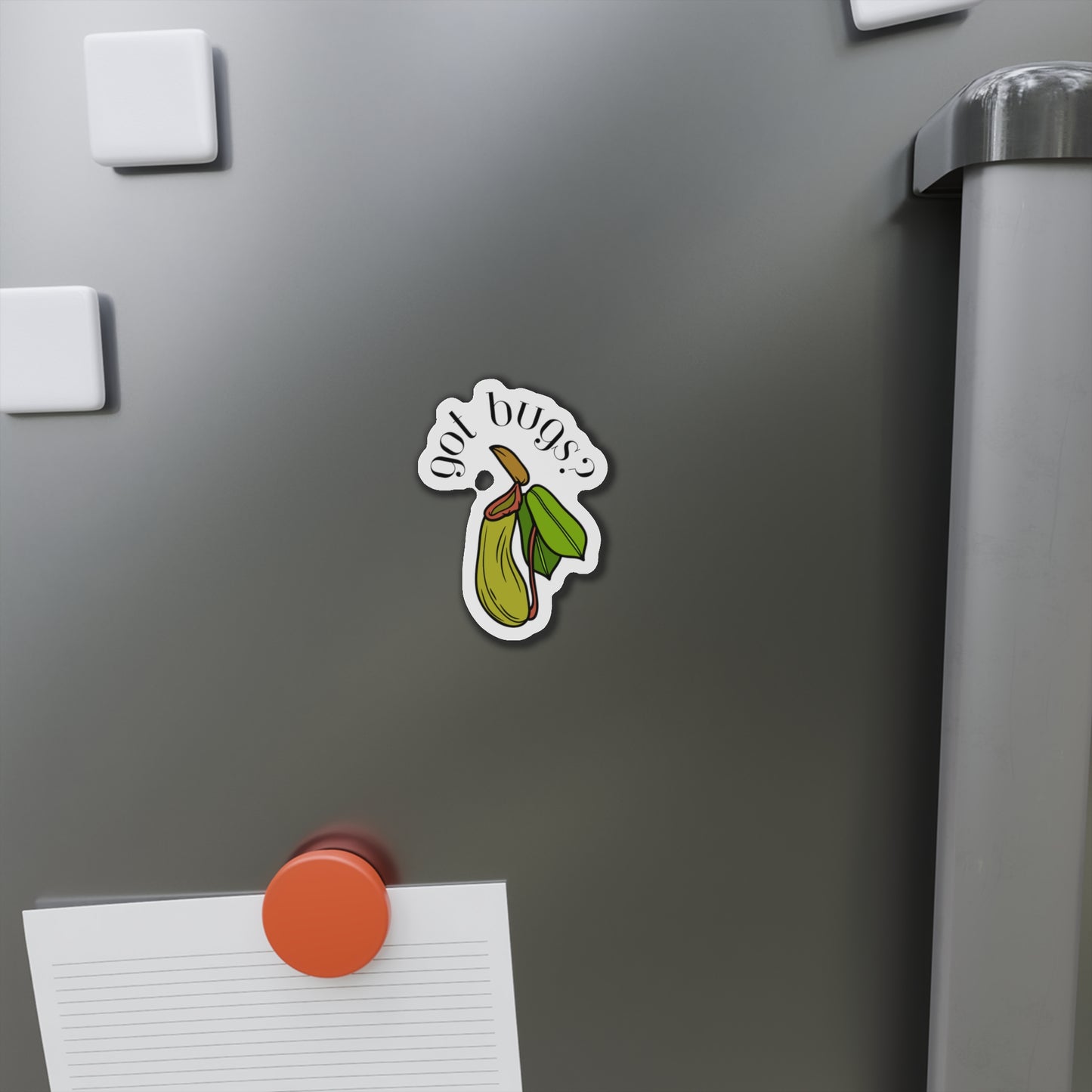 Got Bugs? Magnets