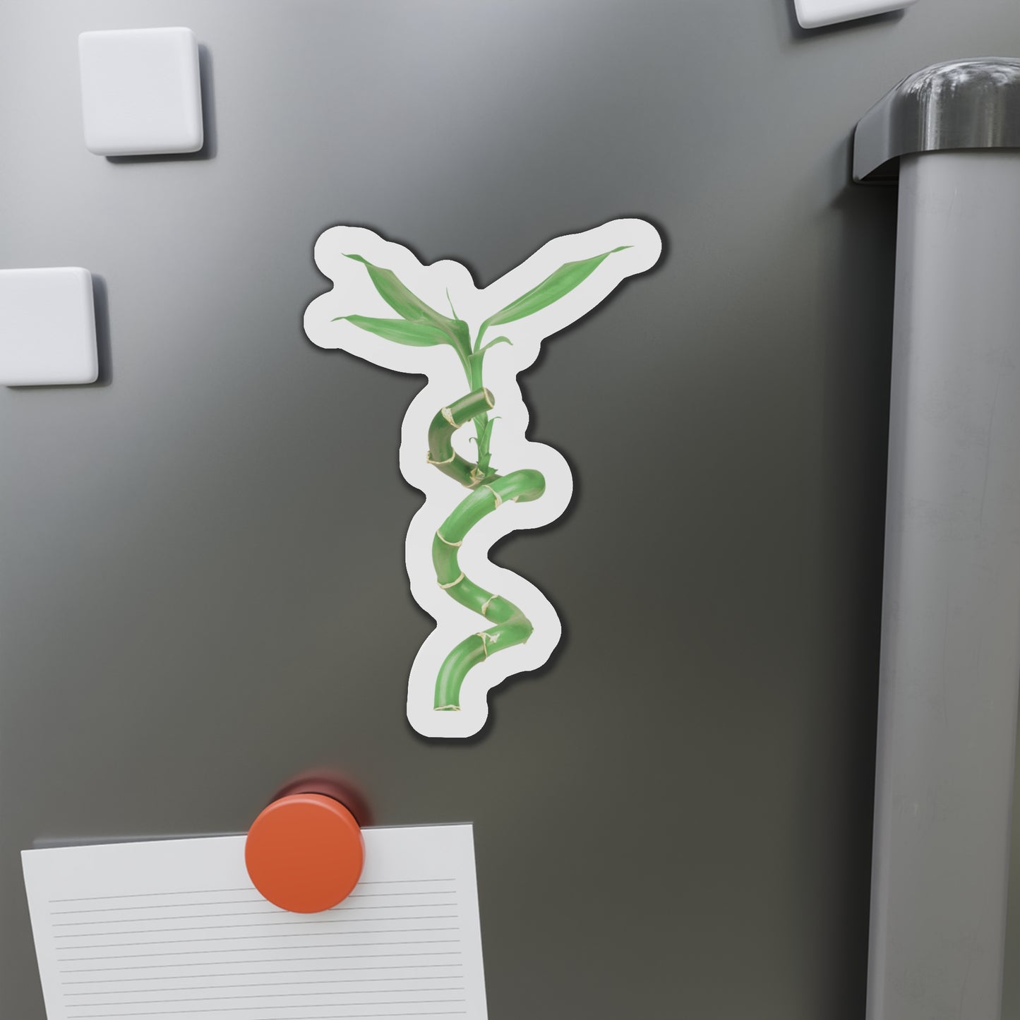 Bamboo Magnets