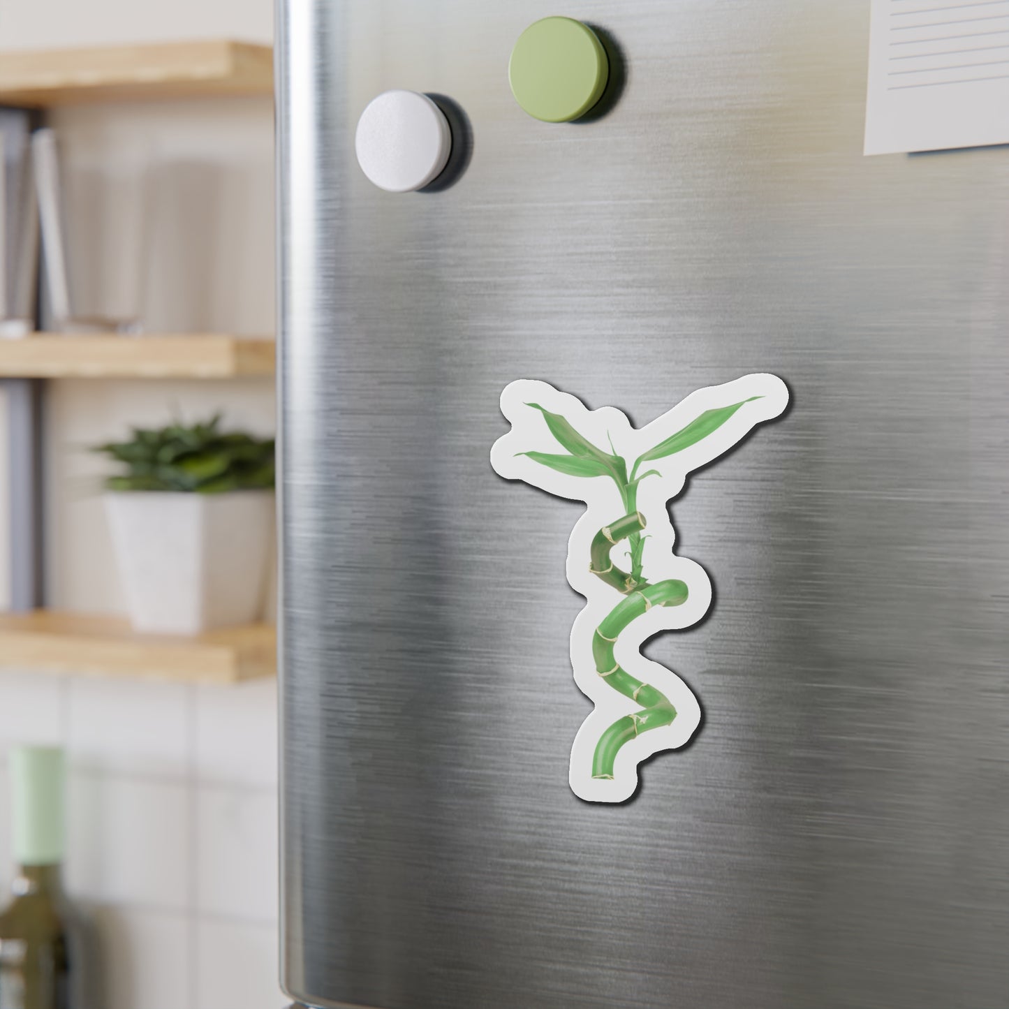 Bamboo Magnets