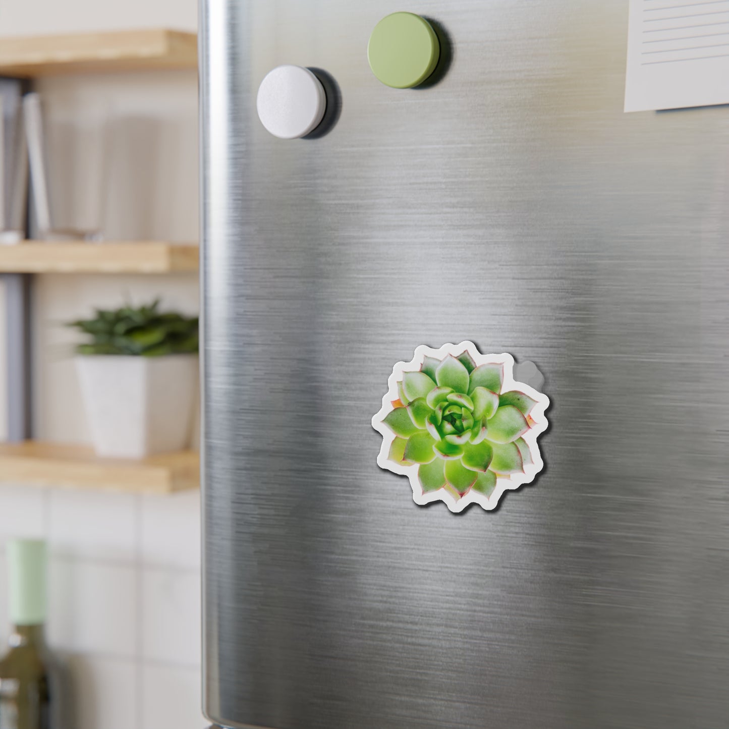 Echeveria Magnets