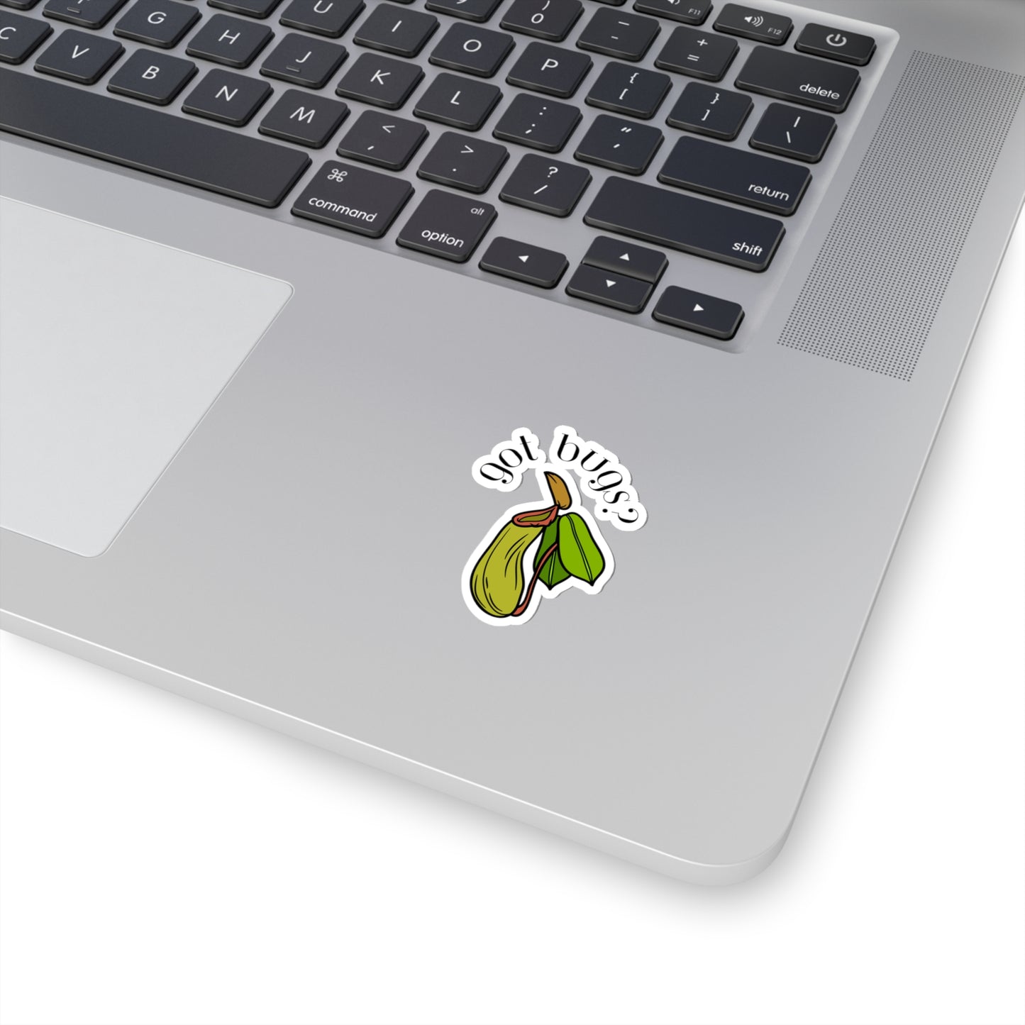 Got Bugs? Stickers