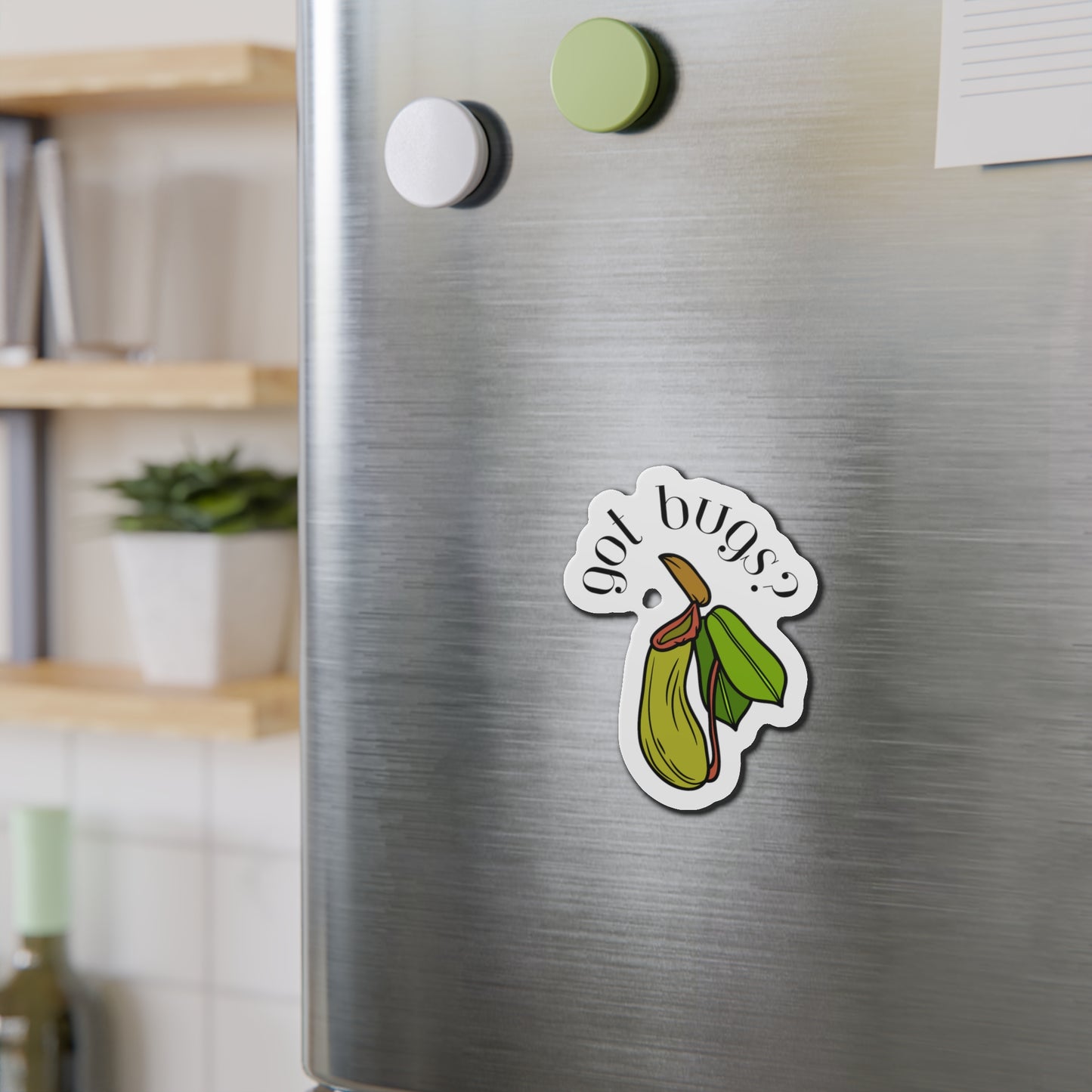 Got Bugs? Magnets
