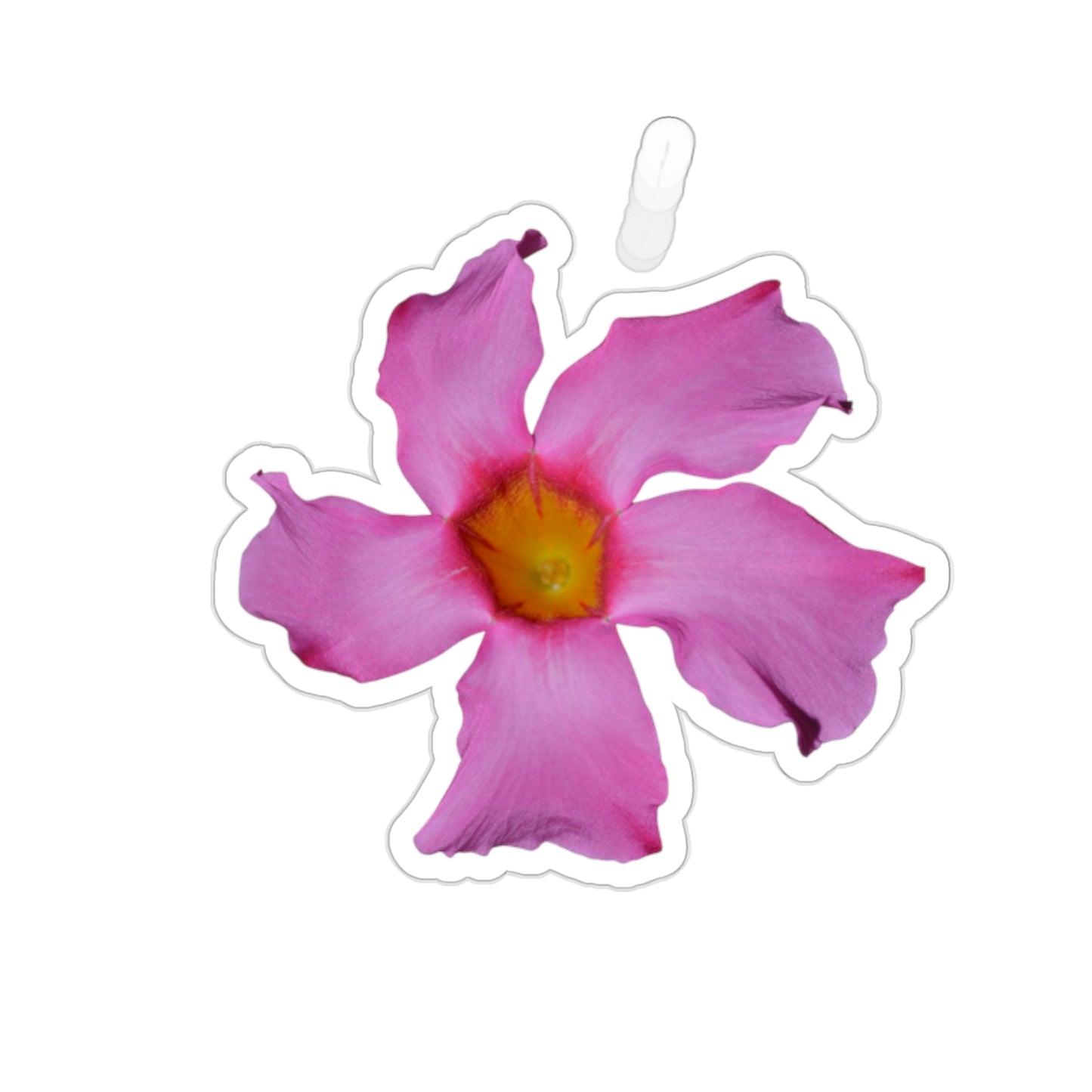 Mandevilla Stickers