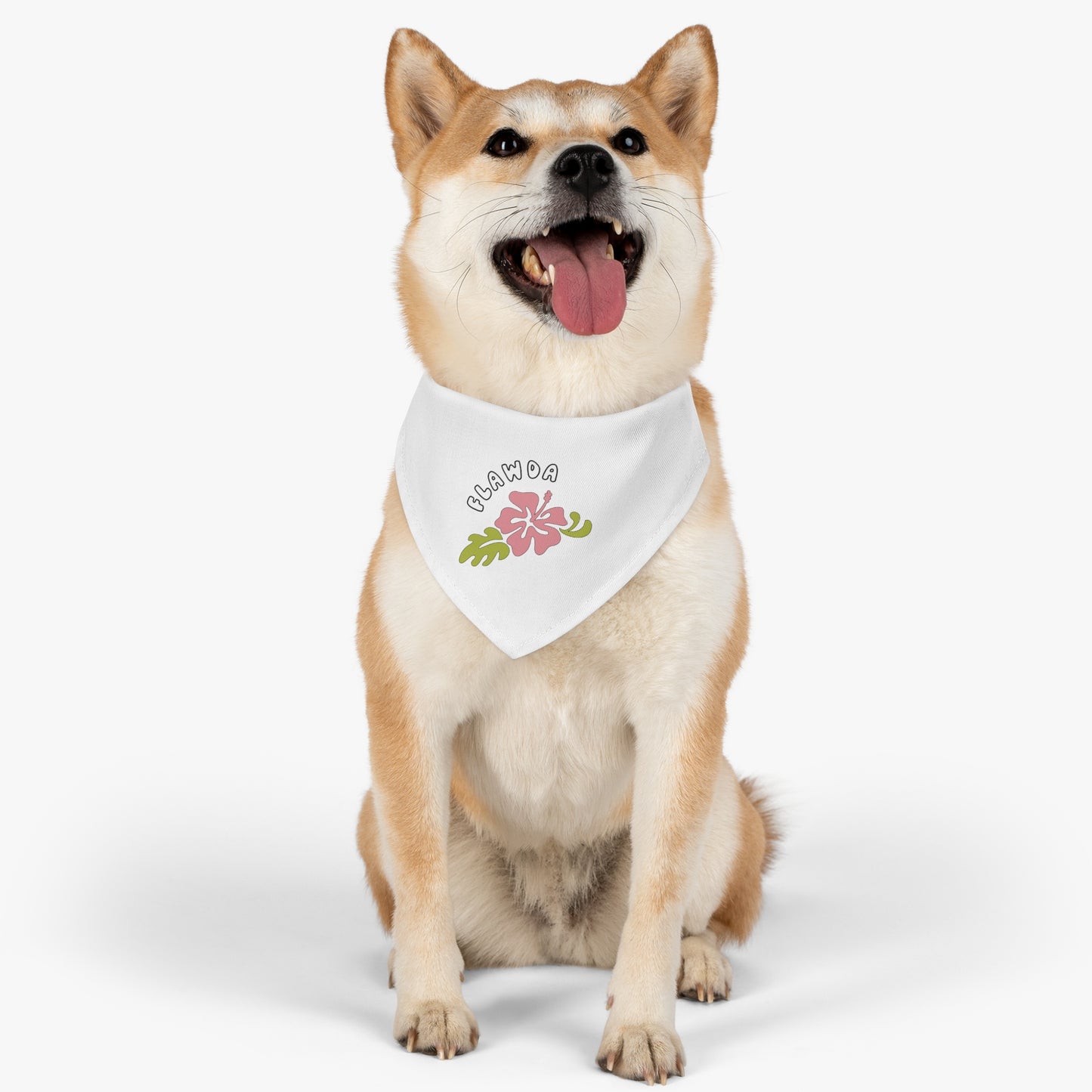 Flawda Pet Bandana Collar
