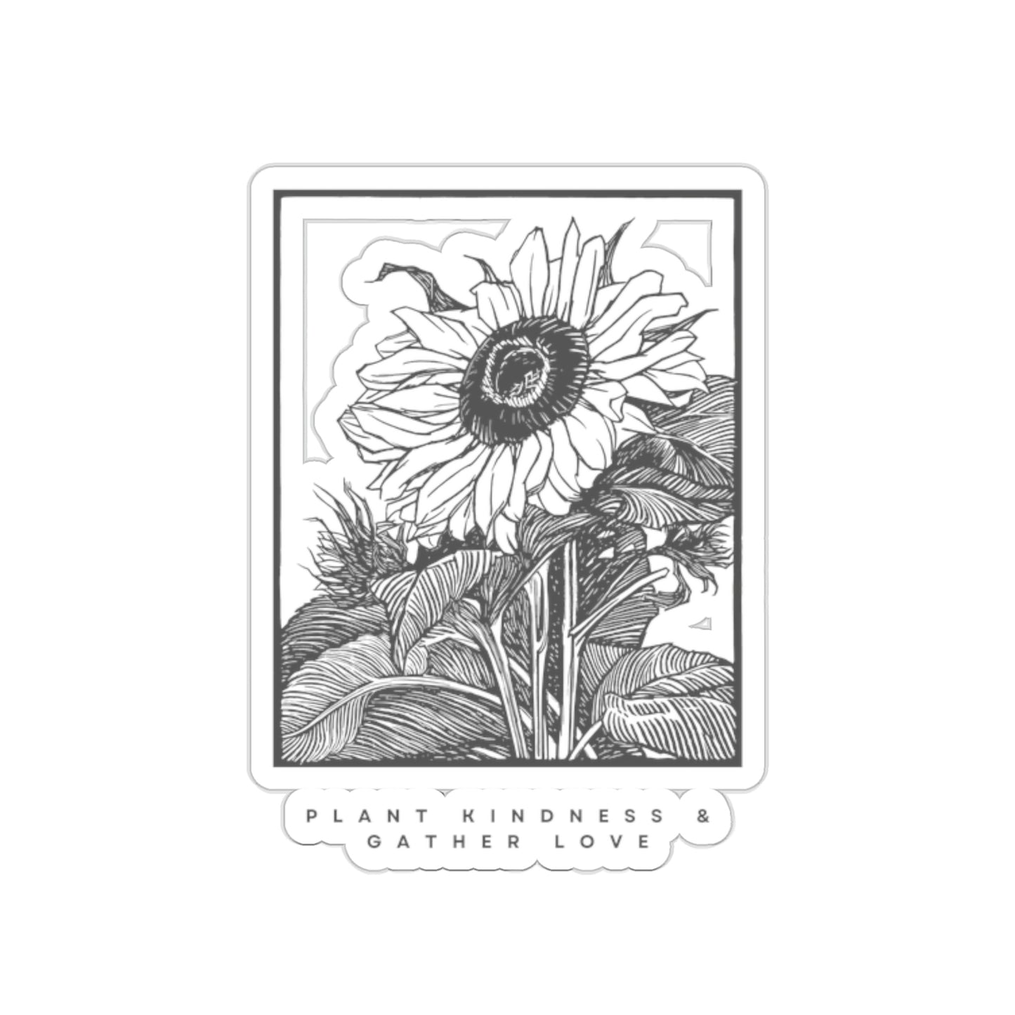 Plant Kindness Stickers