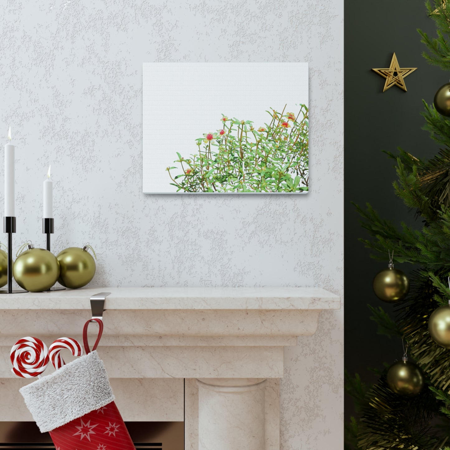 Purslane Canvas Gallery Wraps