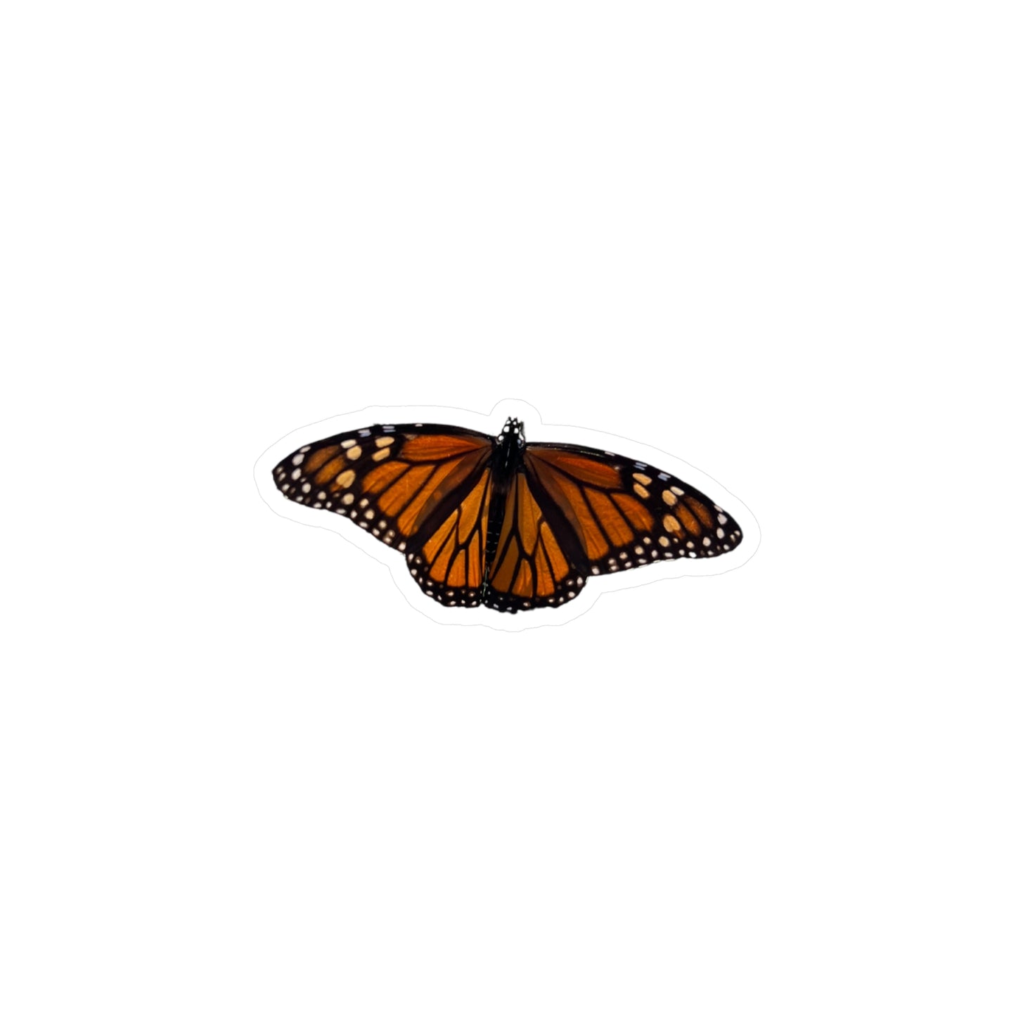 Monarch Vinyl Decals