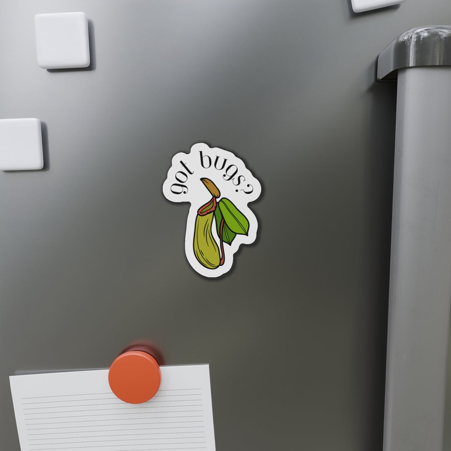 Got Bugs? Magnets