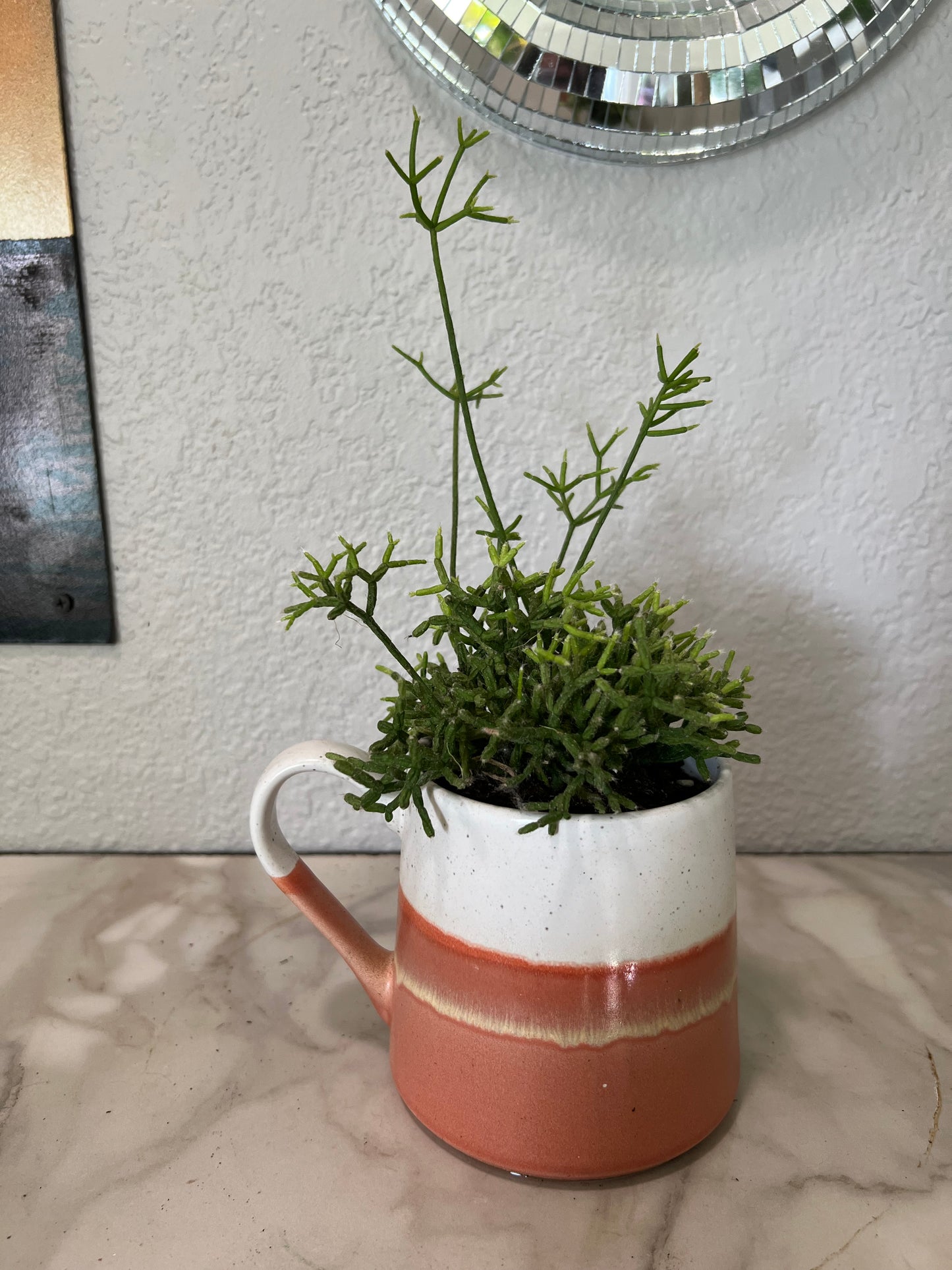 Planted Orange and White Mug