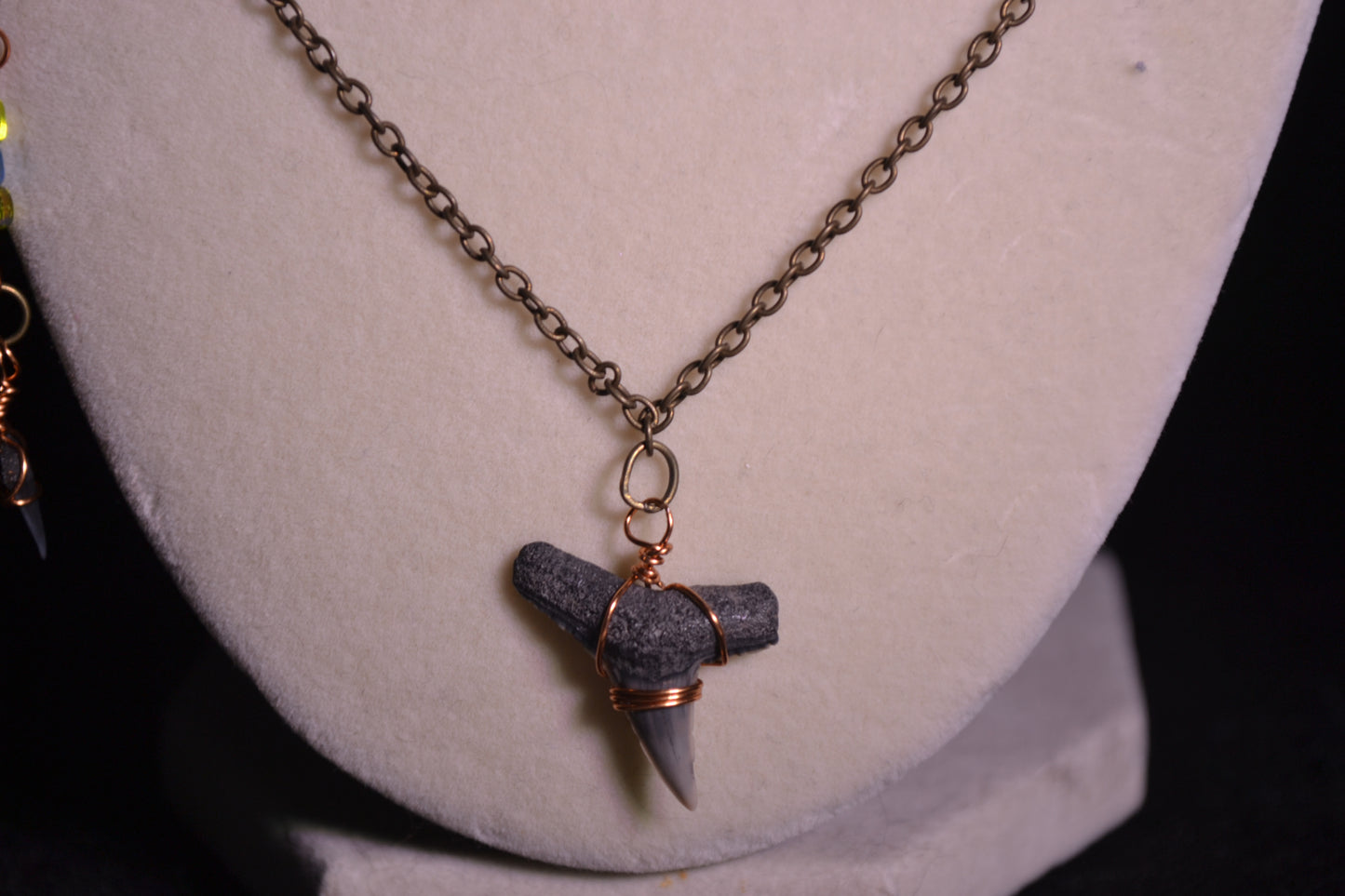 Sharks tooth necklace