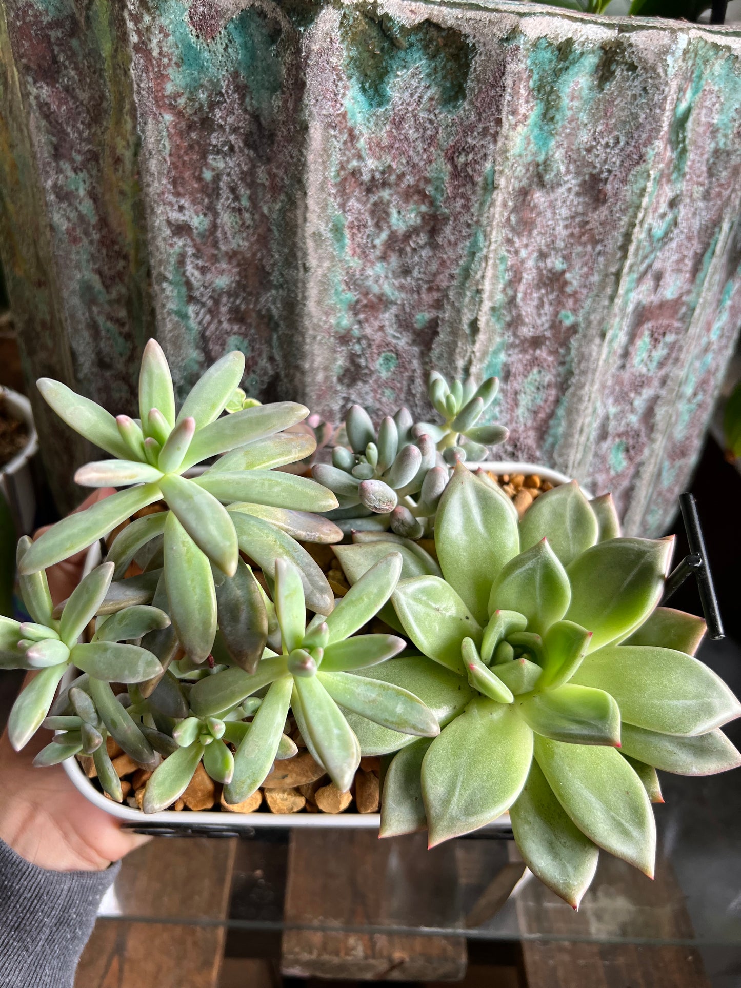 Wagon succulent planter