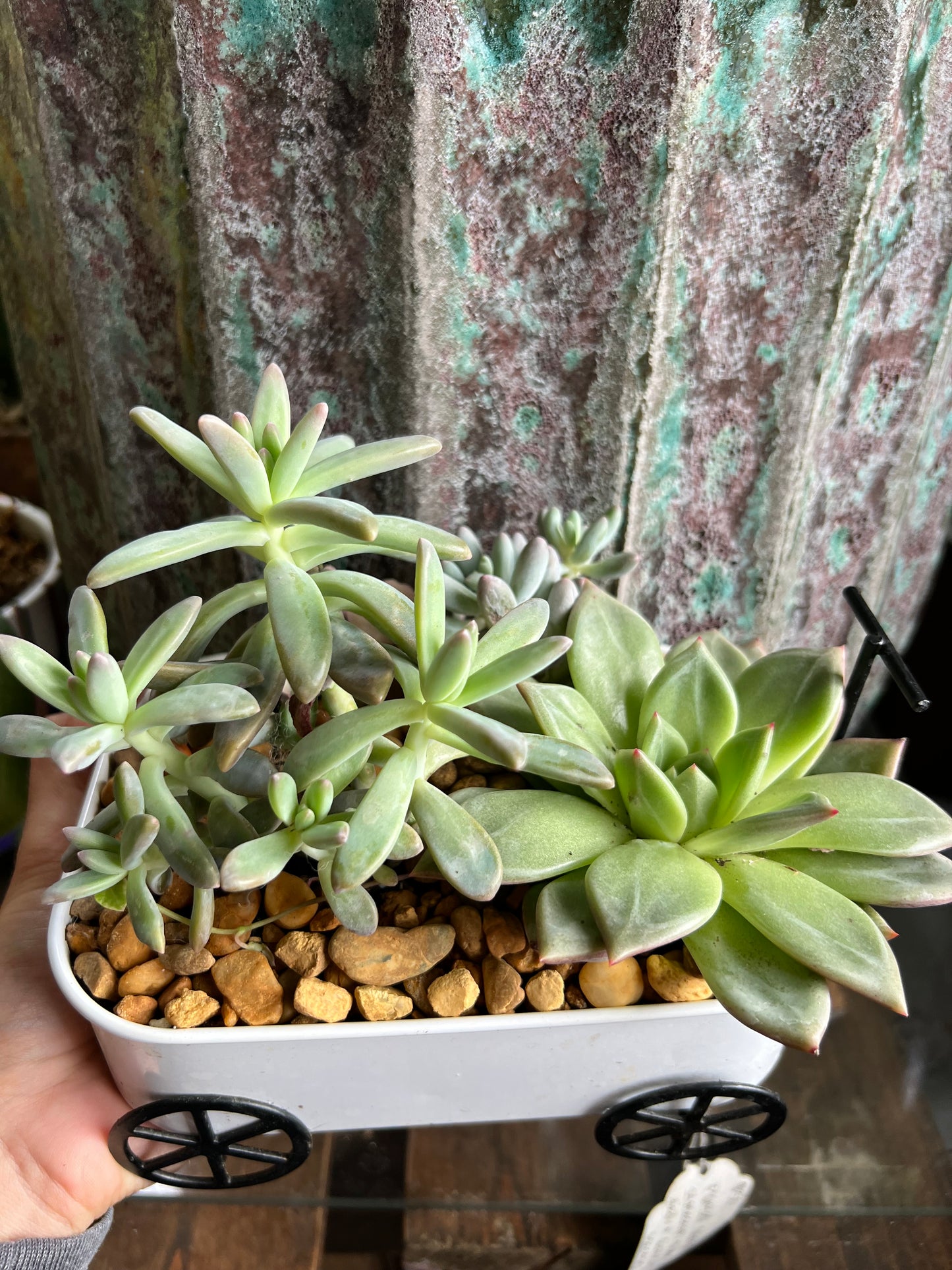 Wagon succulent planter