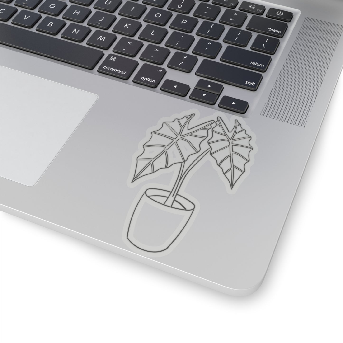 Alocasia Stickers