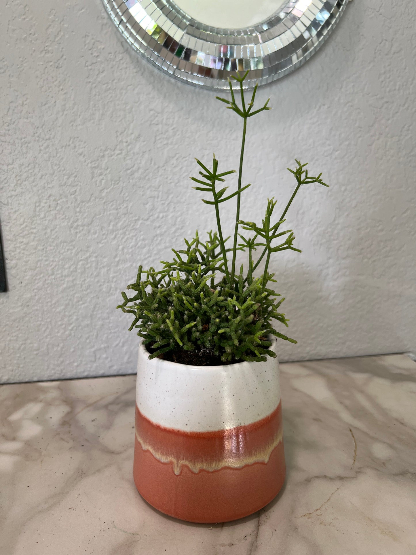 Planted Orange and White Mug